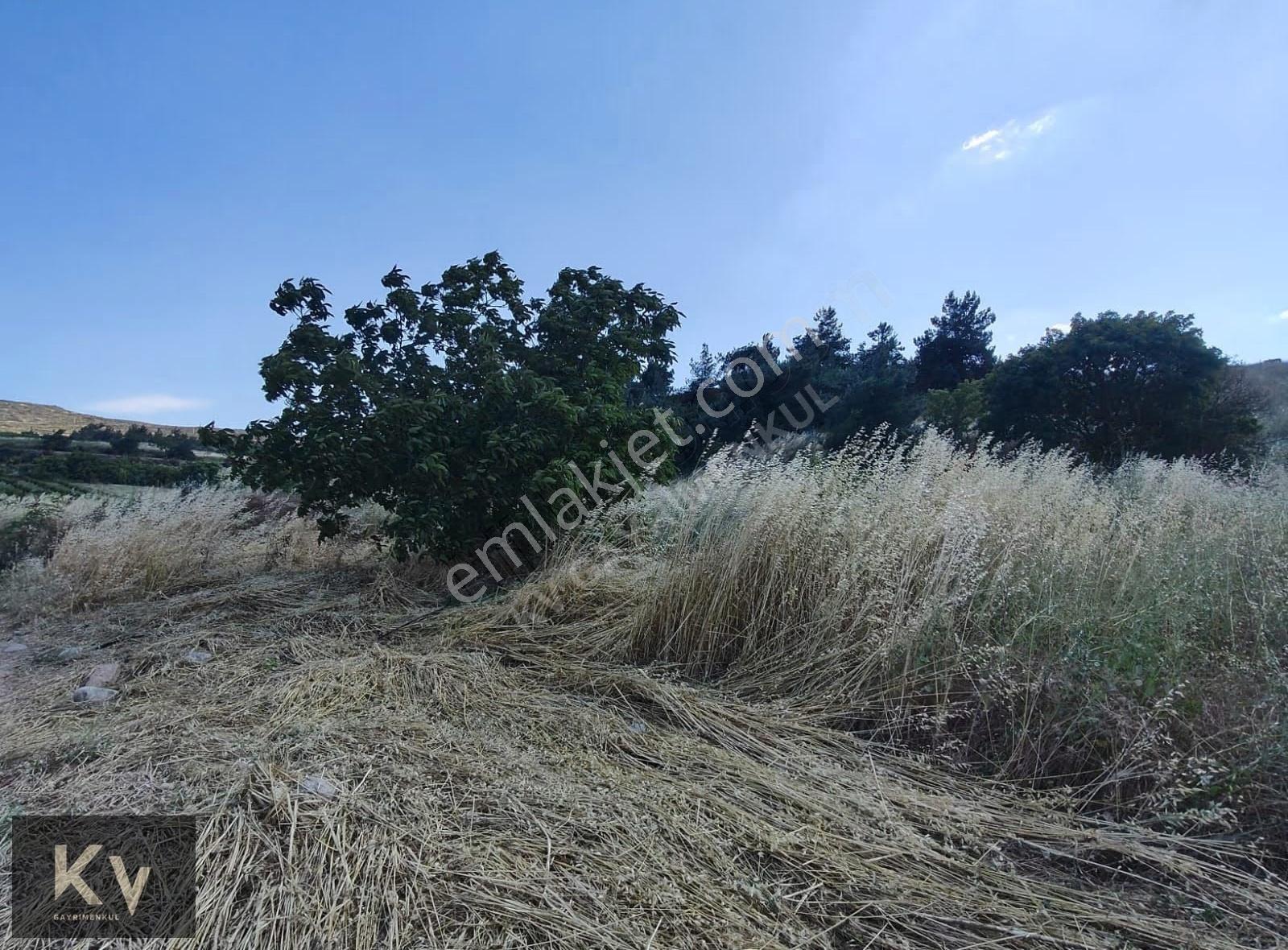 Geyve Bayat Köyünde Satılık 1.836 M2 Tarla - Görsel 8