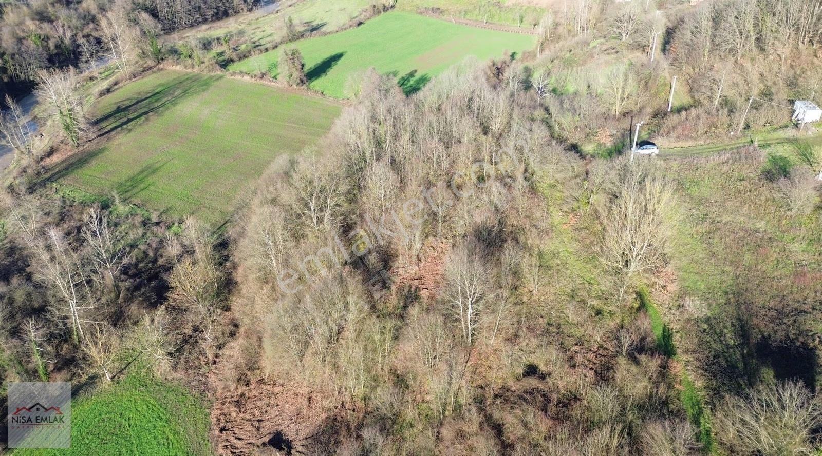 Kalayık'ta Satılık 7059m², Dere Manzaralı, 2 Kat İmarlı Arsa - Görsel 3