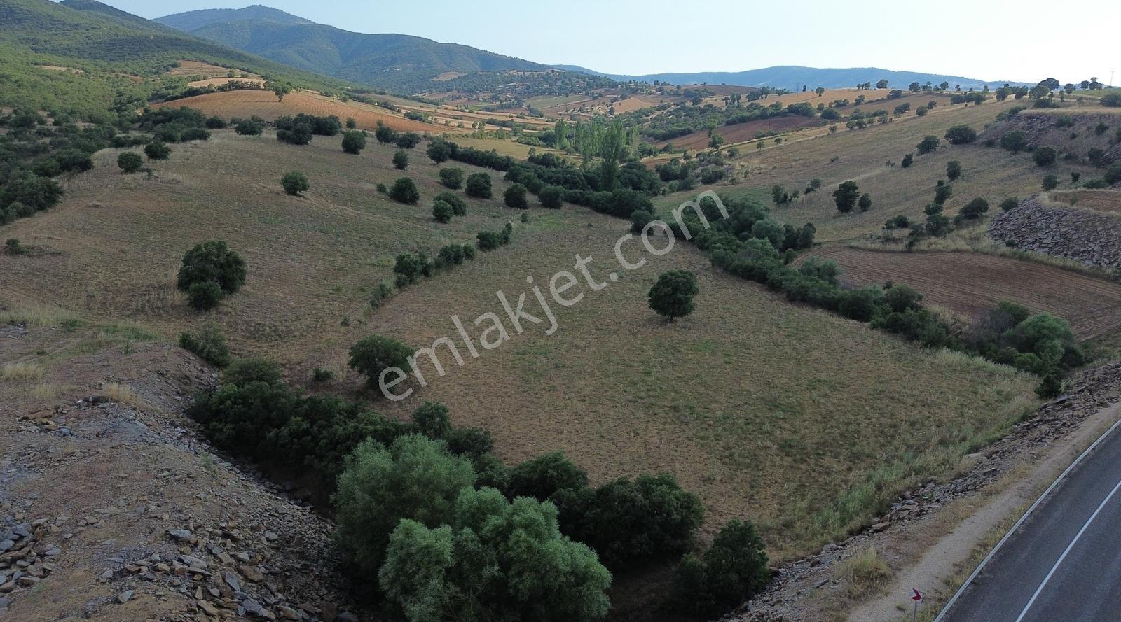 Uşak Eşme'de Tarıma Ve İşletmeye Uygun 31.976 M2 Satılık Tarla - Görsel 6