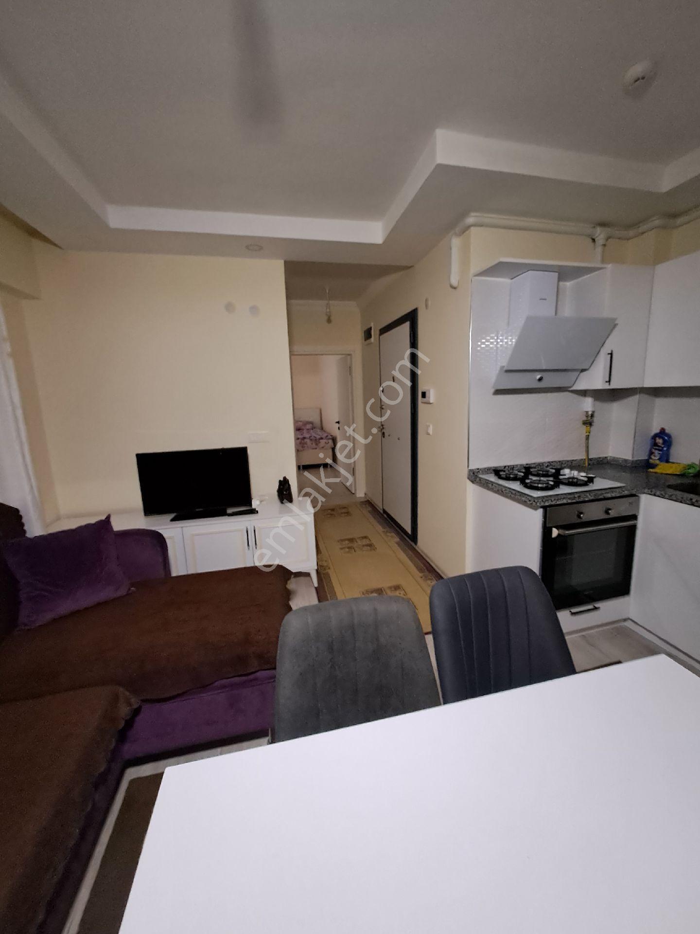 Kadıoğlu Emlak Giresun Teyyaredüzü Mah Eşyalı Kiralık 1+1,,daire - Görsel 7