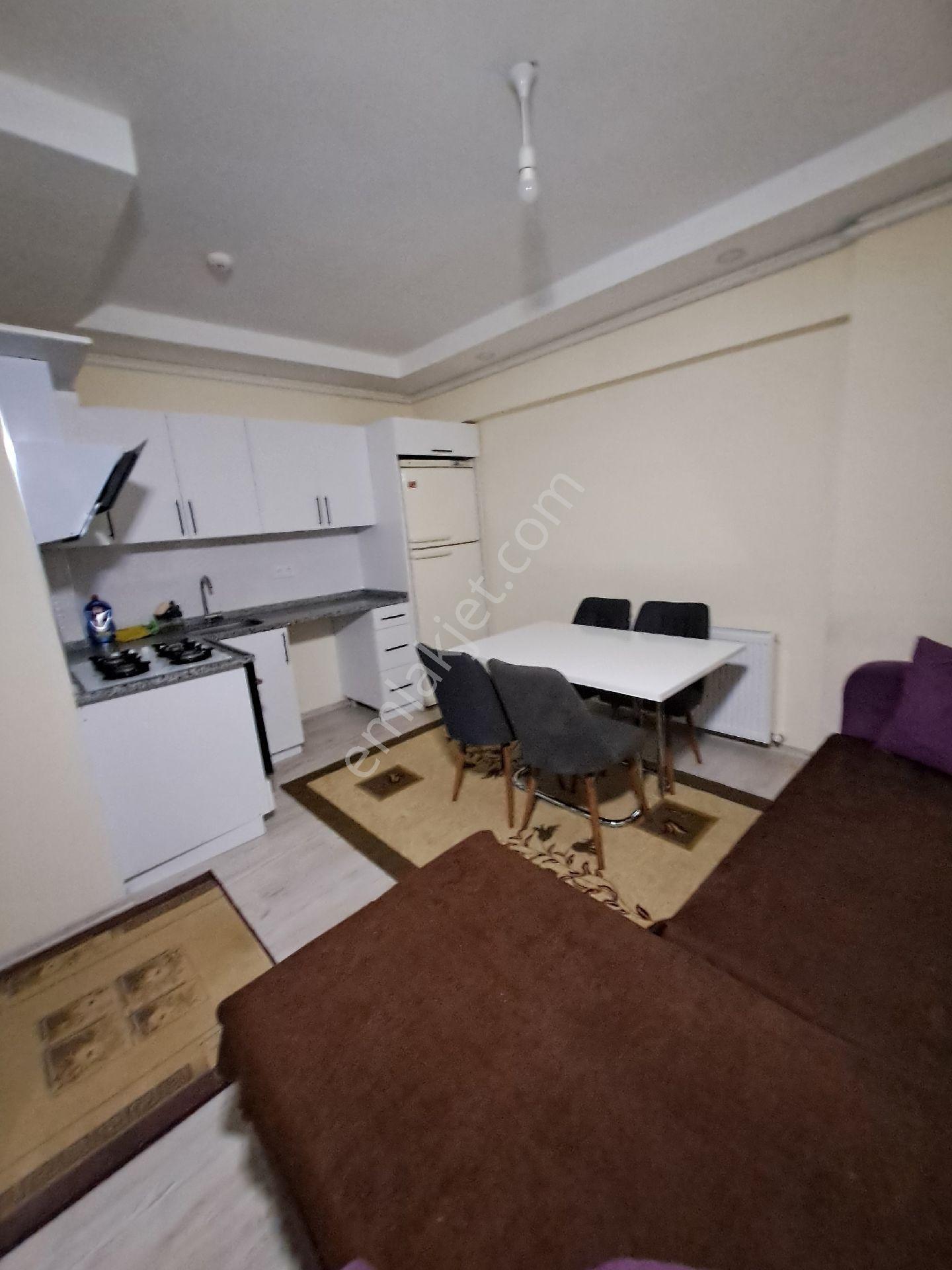 Kadıoğlu Emlak Giresun Teyyaredüzü Mah Eşyalı Kiralık 1+1,,daire - Görsel 12