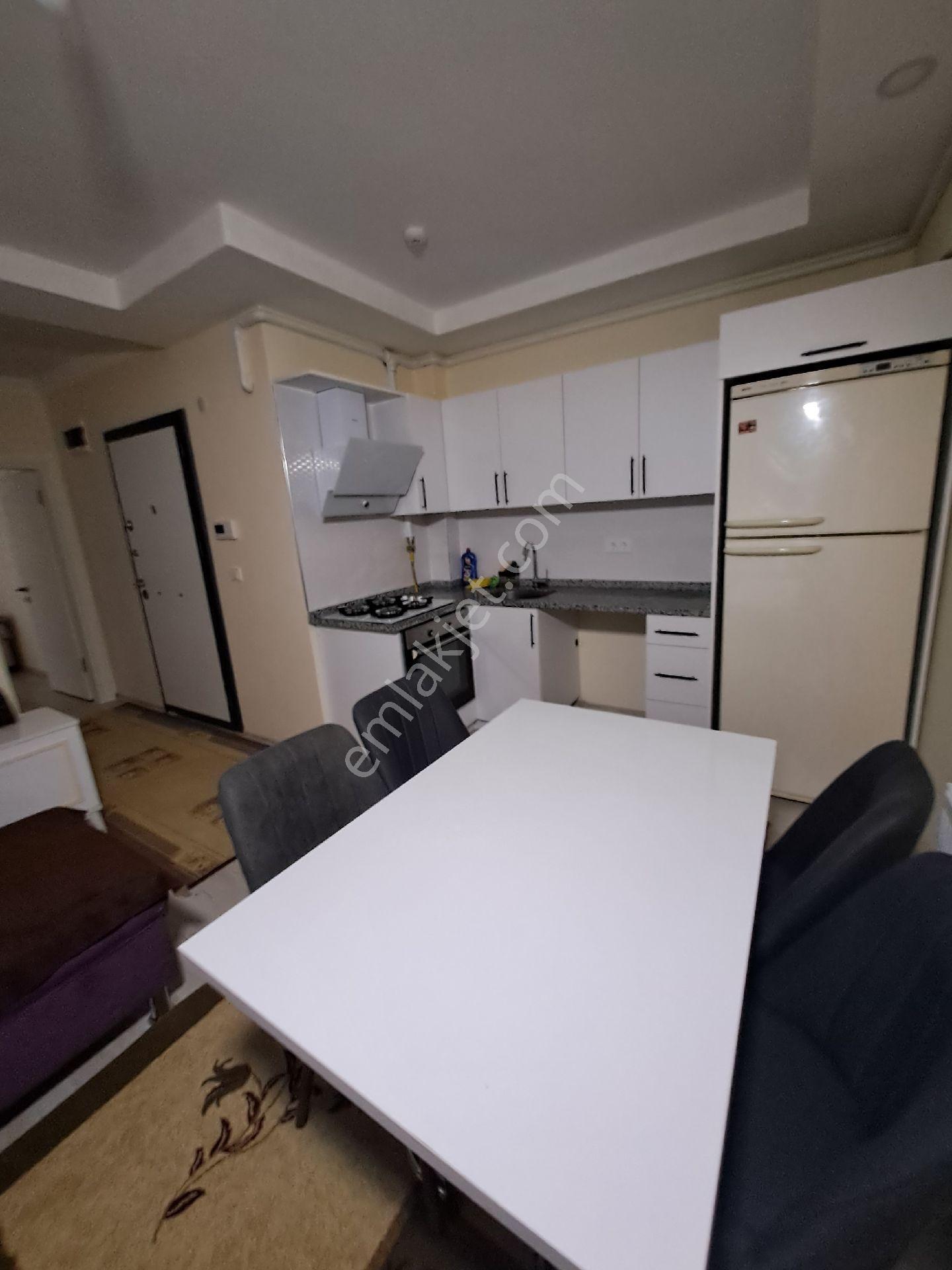 Kadıoğlu Emlak Giresun Teyyaredüzü Mah Eşyalı Kiralık 1+1,,daire - Görsel 9