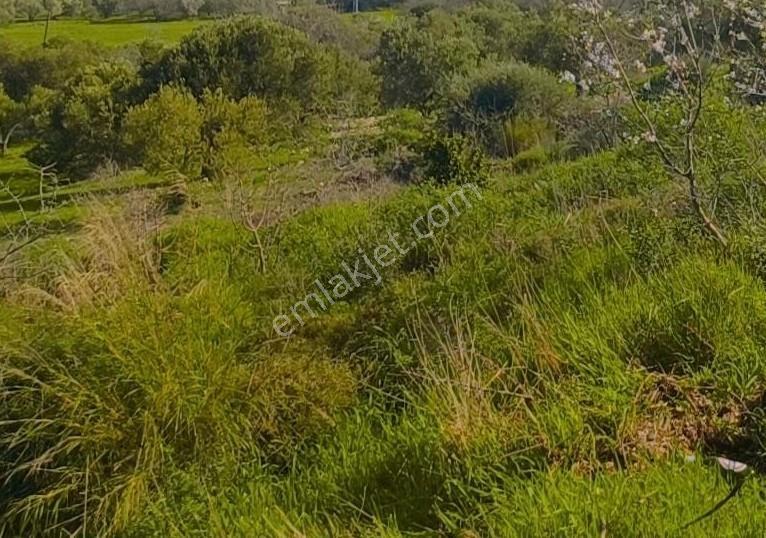 Örnekkent'te Yatırıma Uygun Arsa