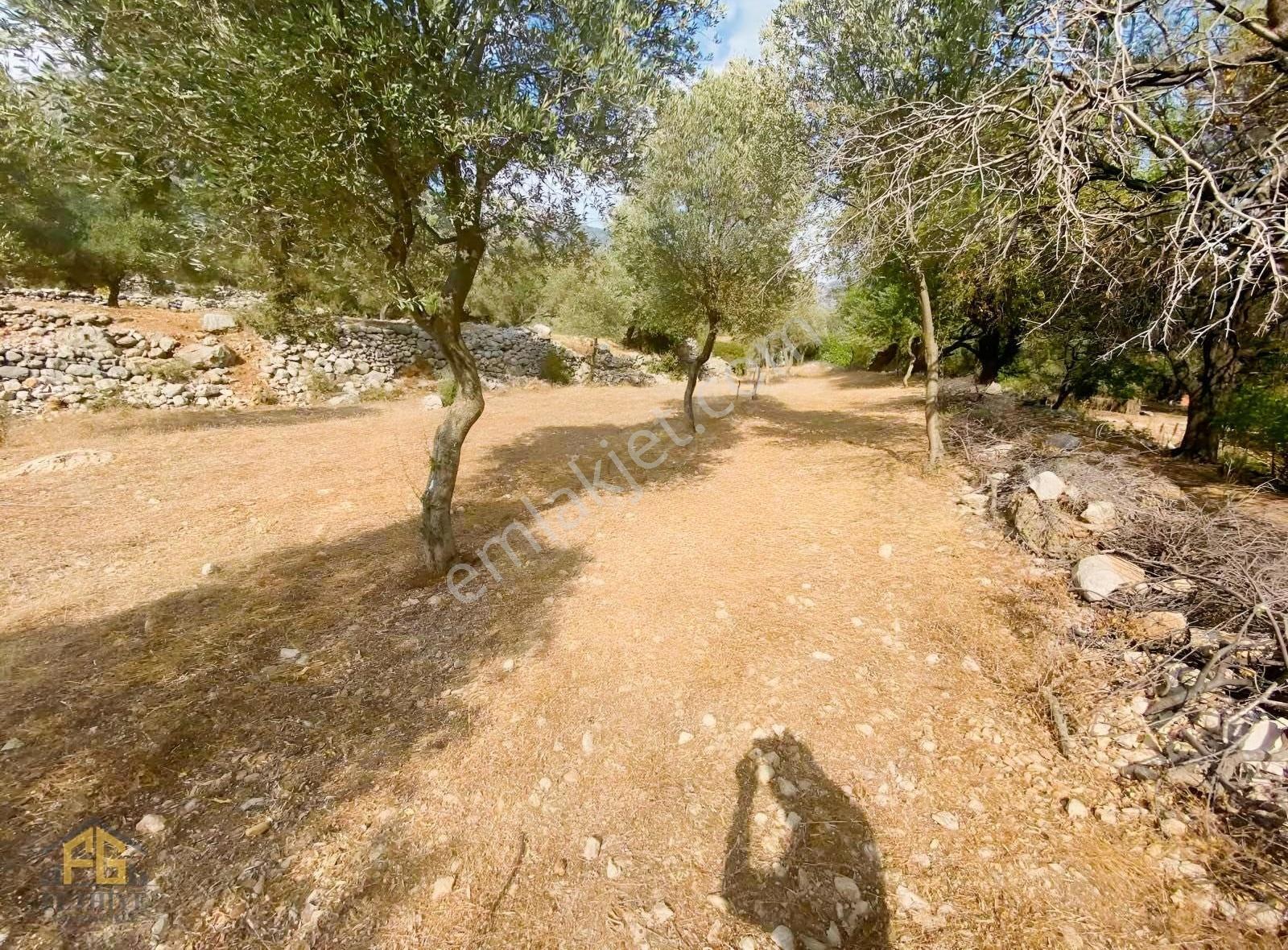 Seydikemer Boğaziçi Mah. Köyiçi İmarlı Arazi - Görsel 14