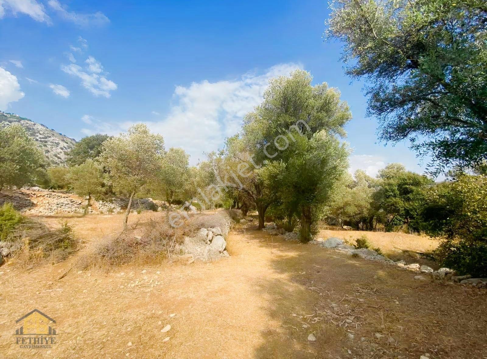 Seydikemer Boğaziçi Mah. Köyiçi İmarlı Arazi - Görsel 8