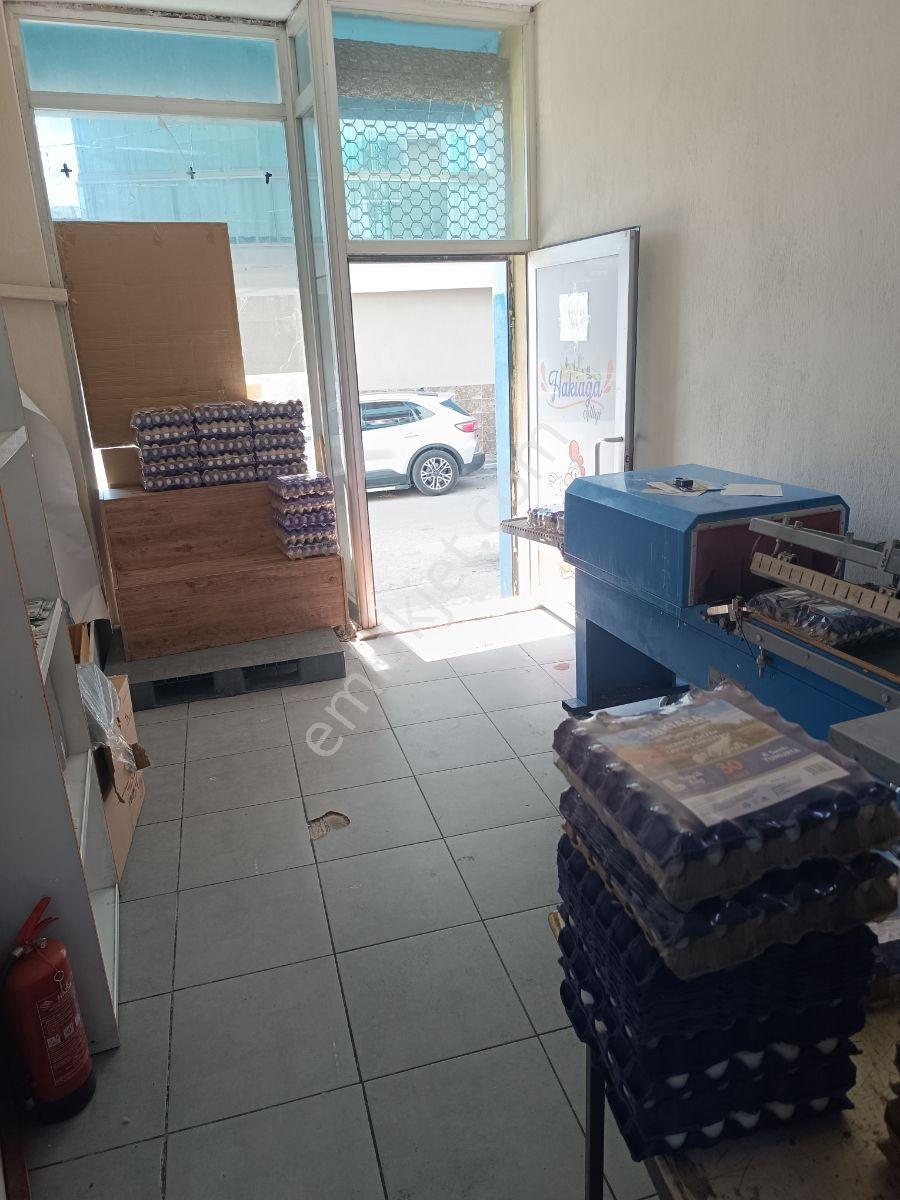 Hazır Kurulu Yüksek Cirolu Yumurta Üretim Ve Dağıtım Merkezi - Görsel 16