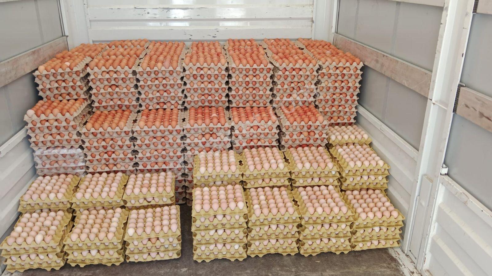 Hazır Kurulu Yüksek Cirolu Yumurta Üretim Ve Dağıtım Merkezi - Görsel 18