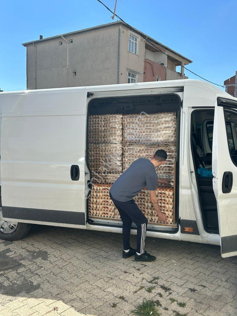 Hazır Kurulu Yüksek Cirolu Yumurta Üretim Ve Dağıtım Merkezi - Görsel 11