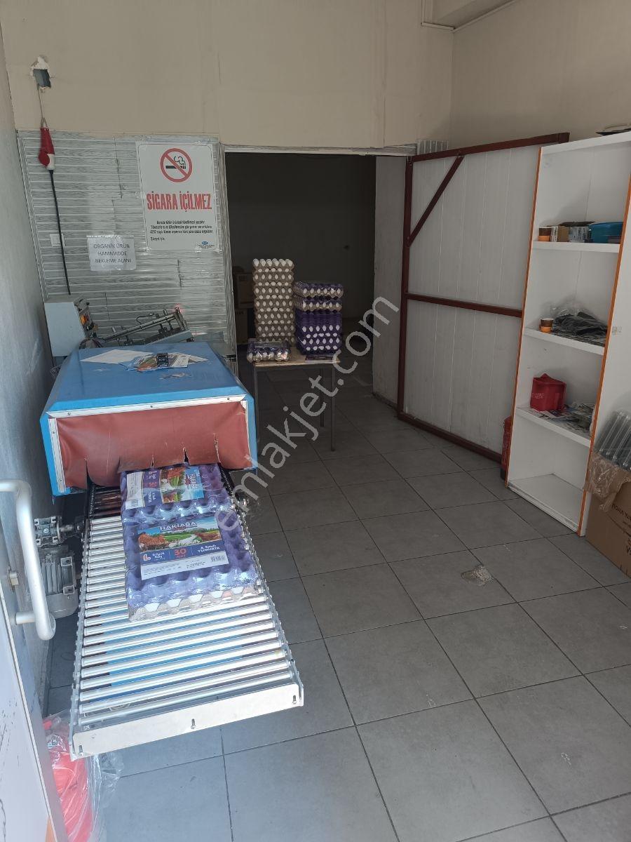 Hazır Kurulu Yüksek Cirolu Yumurta Üretim Ve Dağıtım Merkezi - Görsel 15