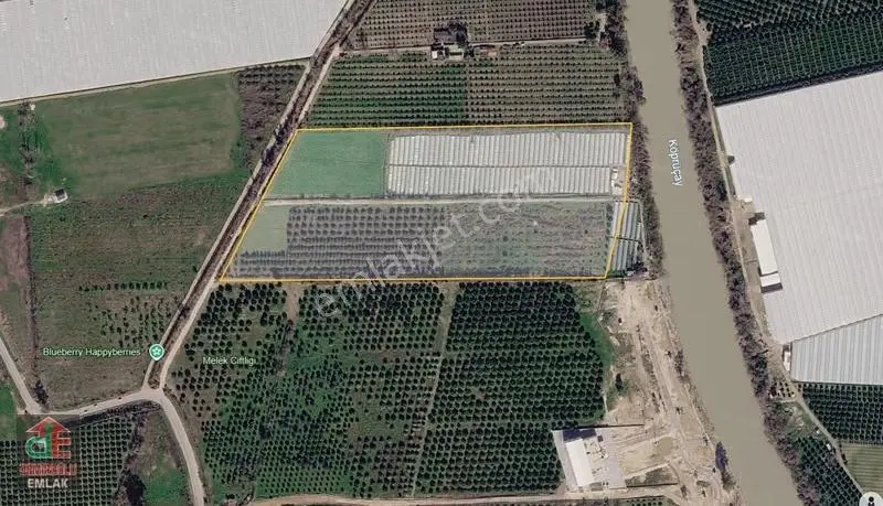 Antalya Serik'te Satılık 67.5 Dönüm Müstakil Arazi