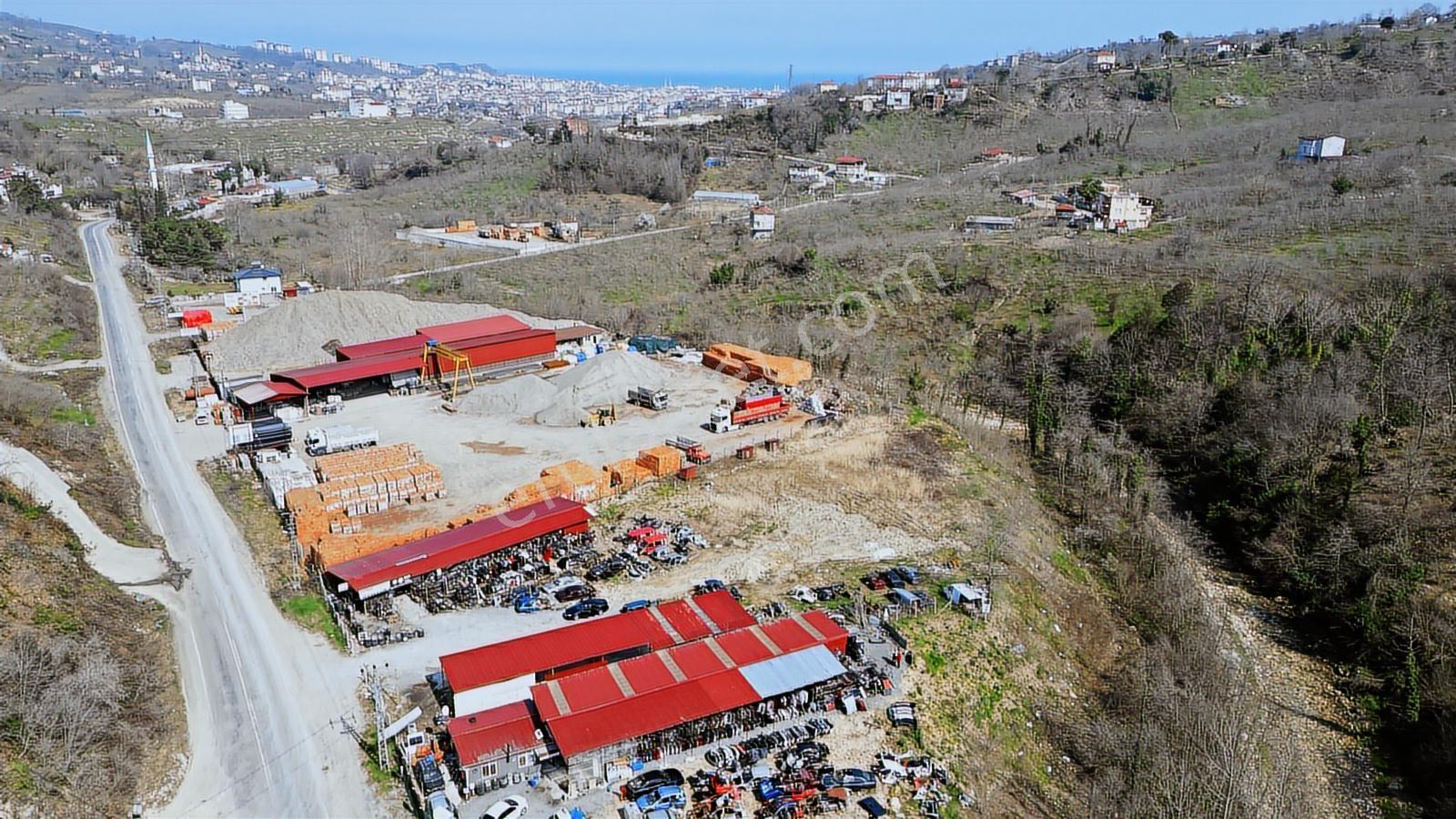 Mabel'den Full Malzemeli Devren Kiralık Yedek Parçacı - Görsel 34
