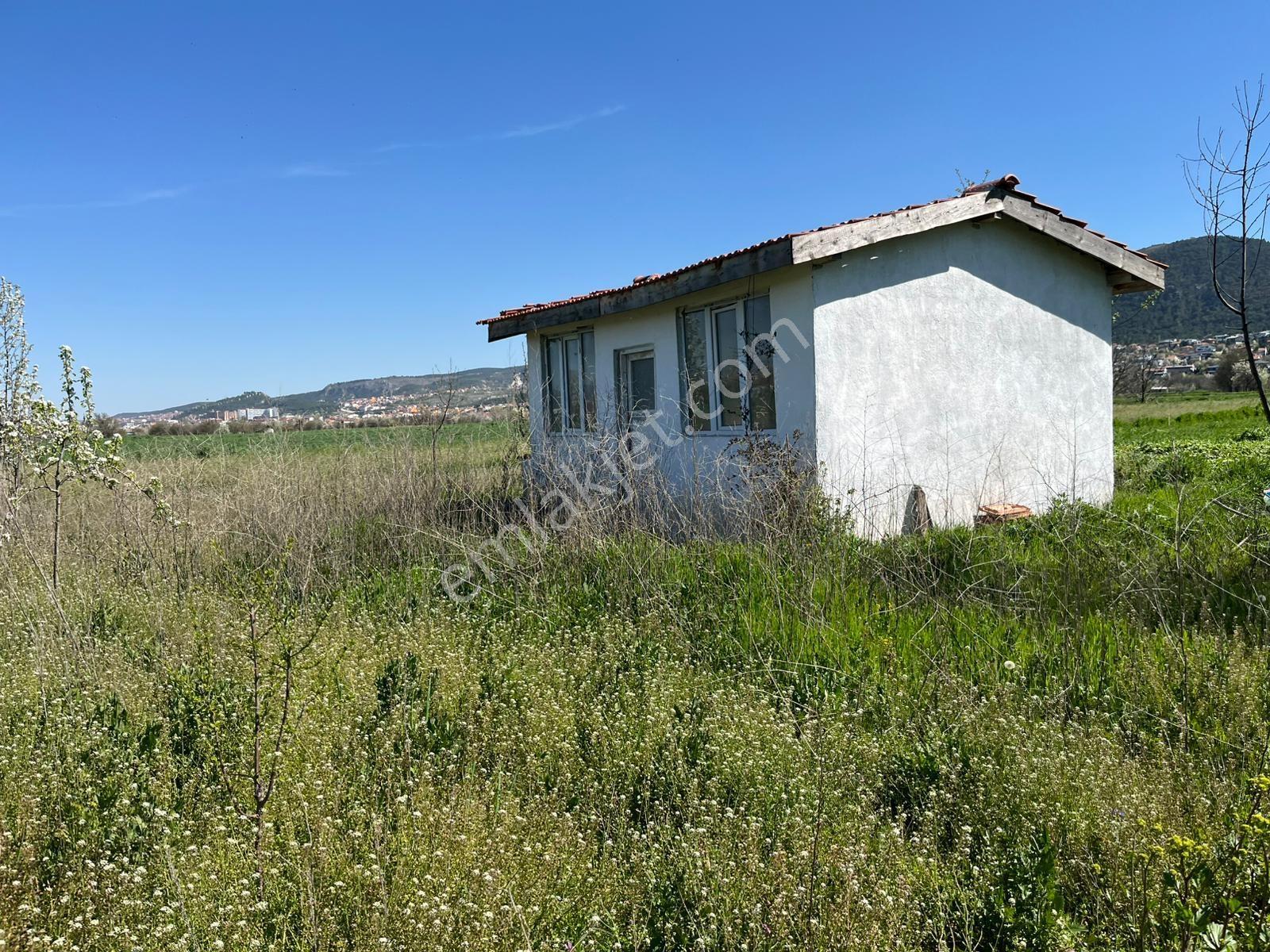 Kütahya Merkez Okçu'da Satılık Hobi Bahçesi - Görsel 25