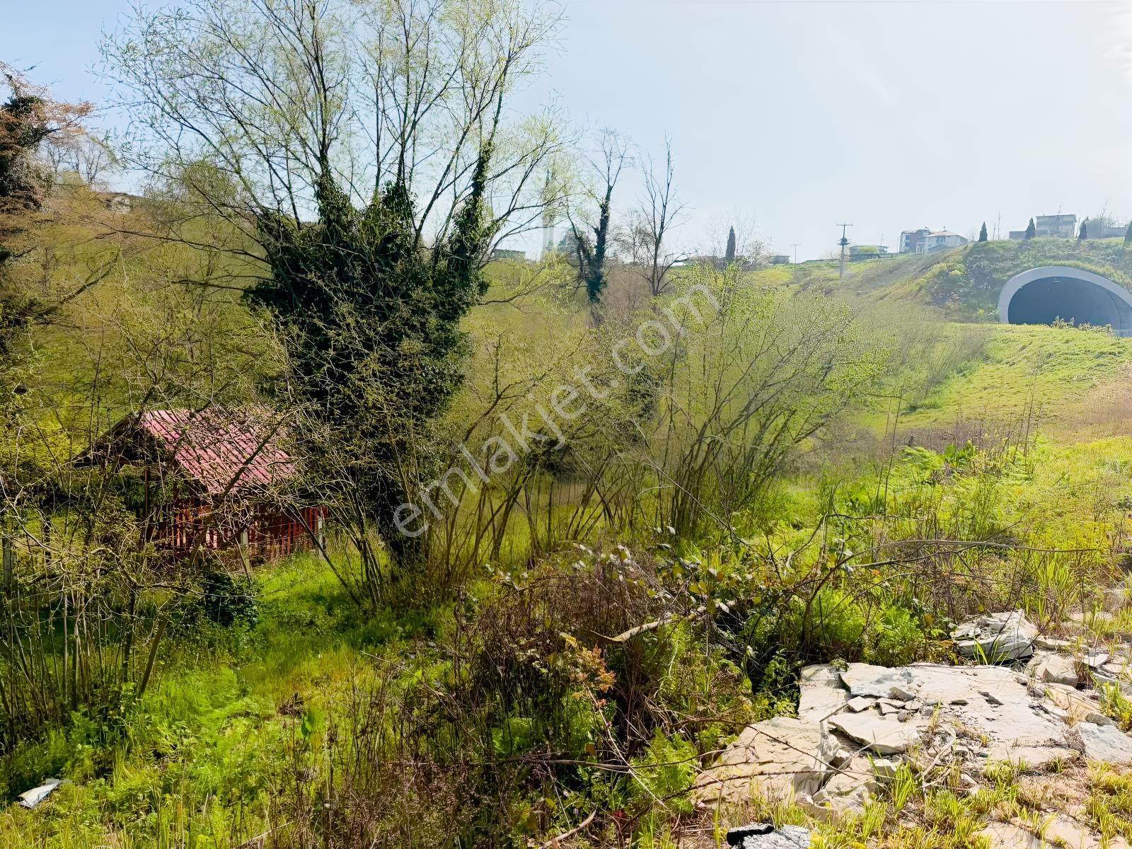 Sakarya Kaynarca Büyükyanık Mahallesinde 483 M2 %40 İmarlı Arsa - Görsel 5