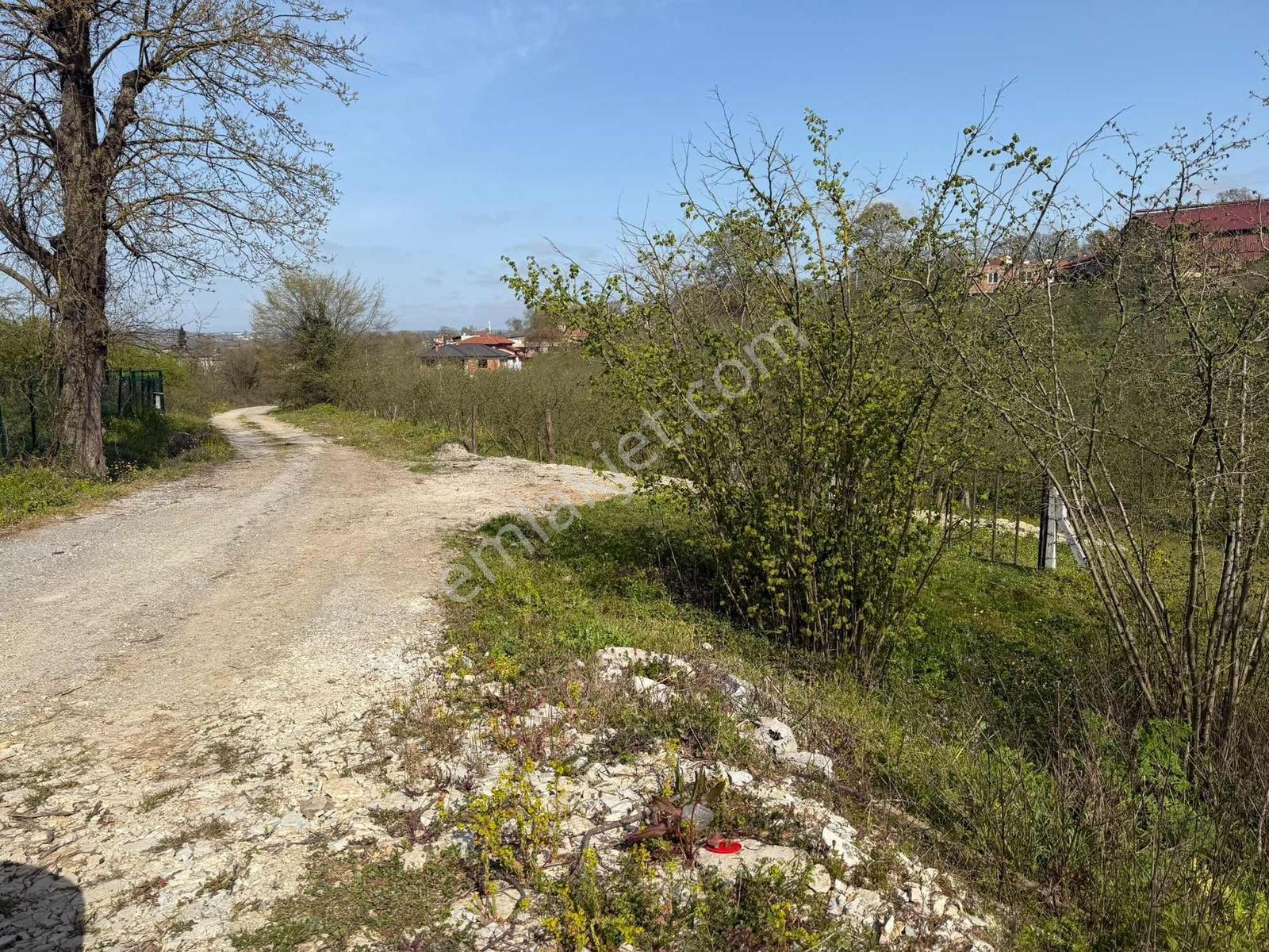 Sakarya Kaynarca Büyükyanık Mahallesinde 483 M2 %40 İmarlı Arsa - Görsel 2