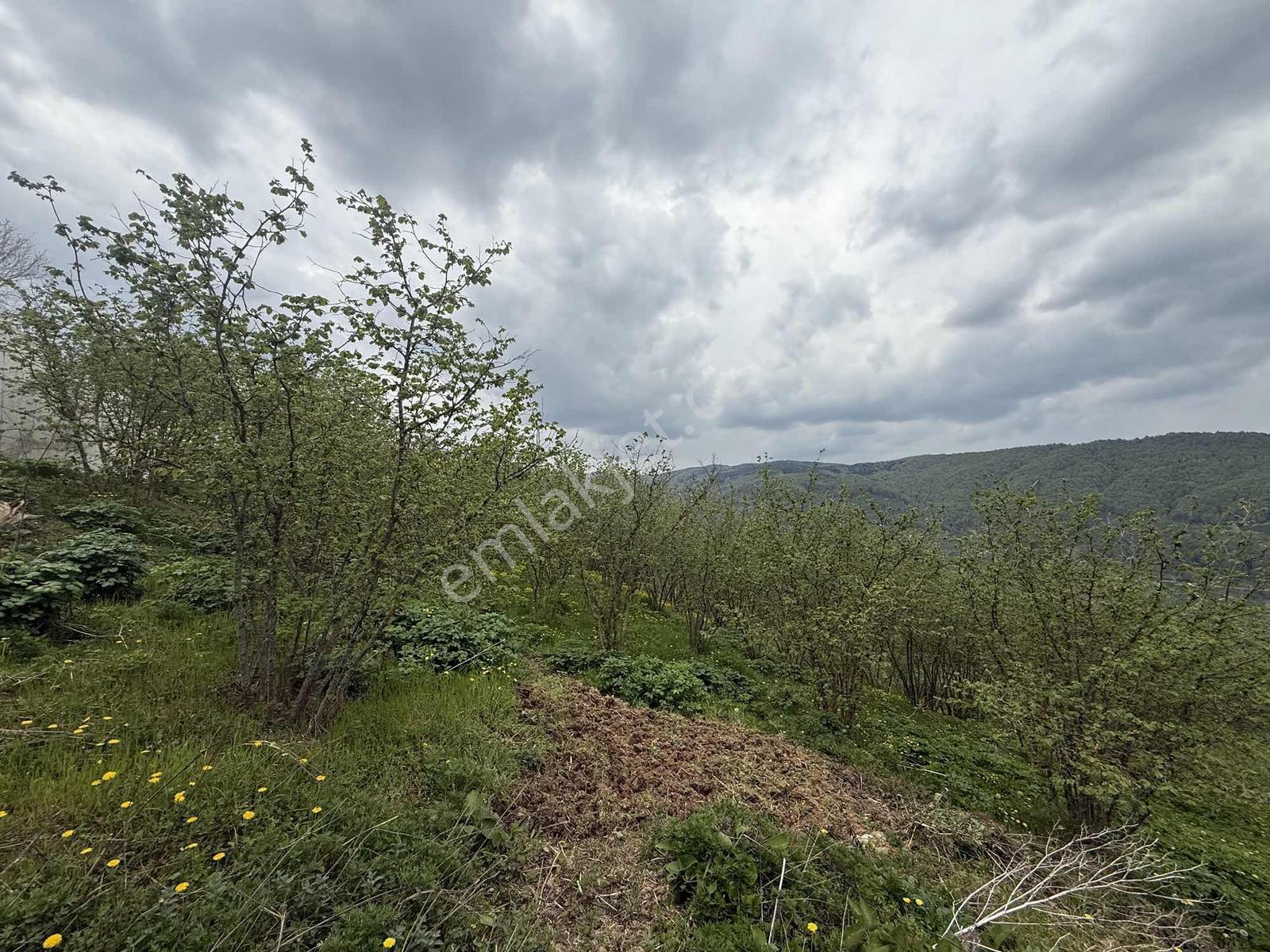 Sakarya Akyazı'da Satılık 3.564 M2 İmarlı Arsa - Görsel 27