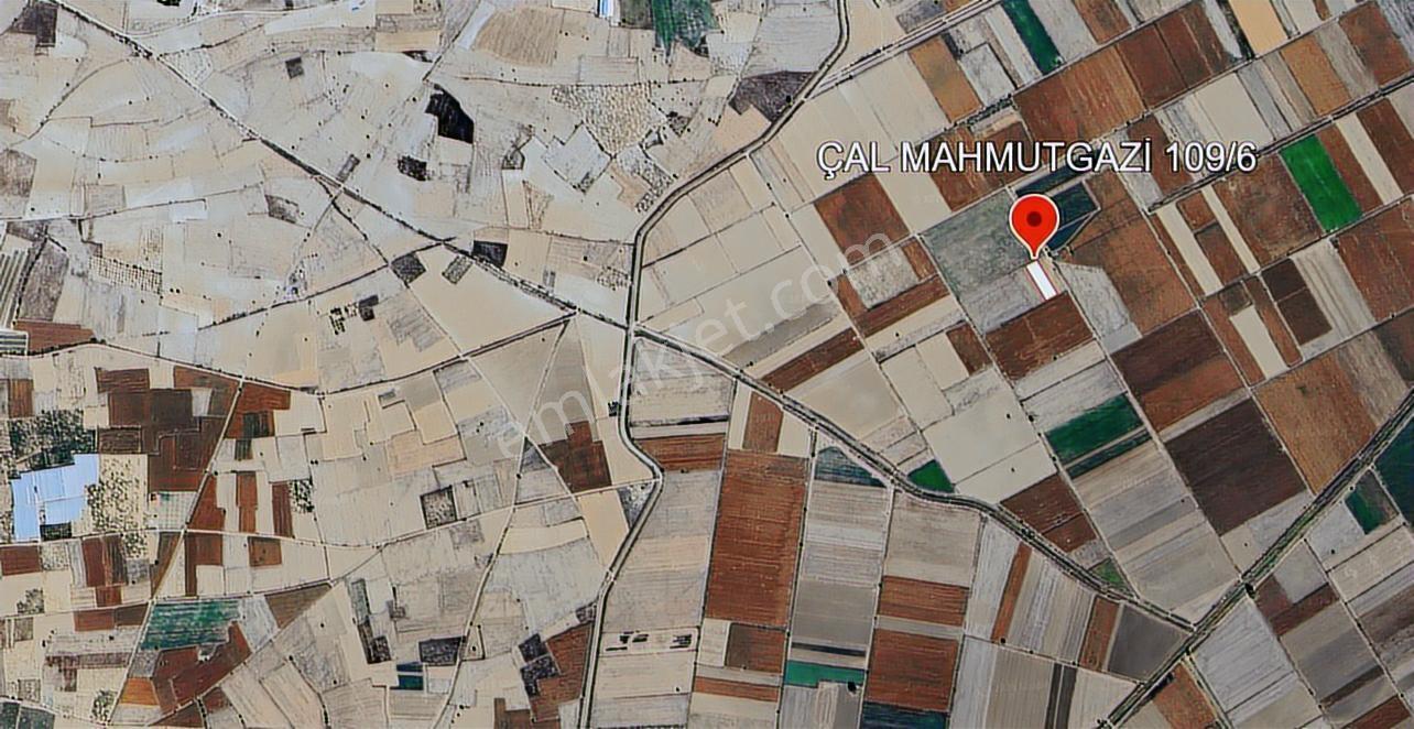 C21 Loft'tan Çal Mahmutgazi'de Satılık Tarla