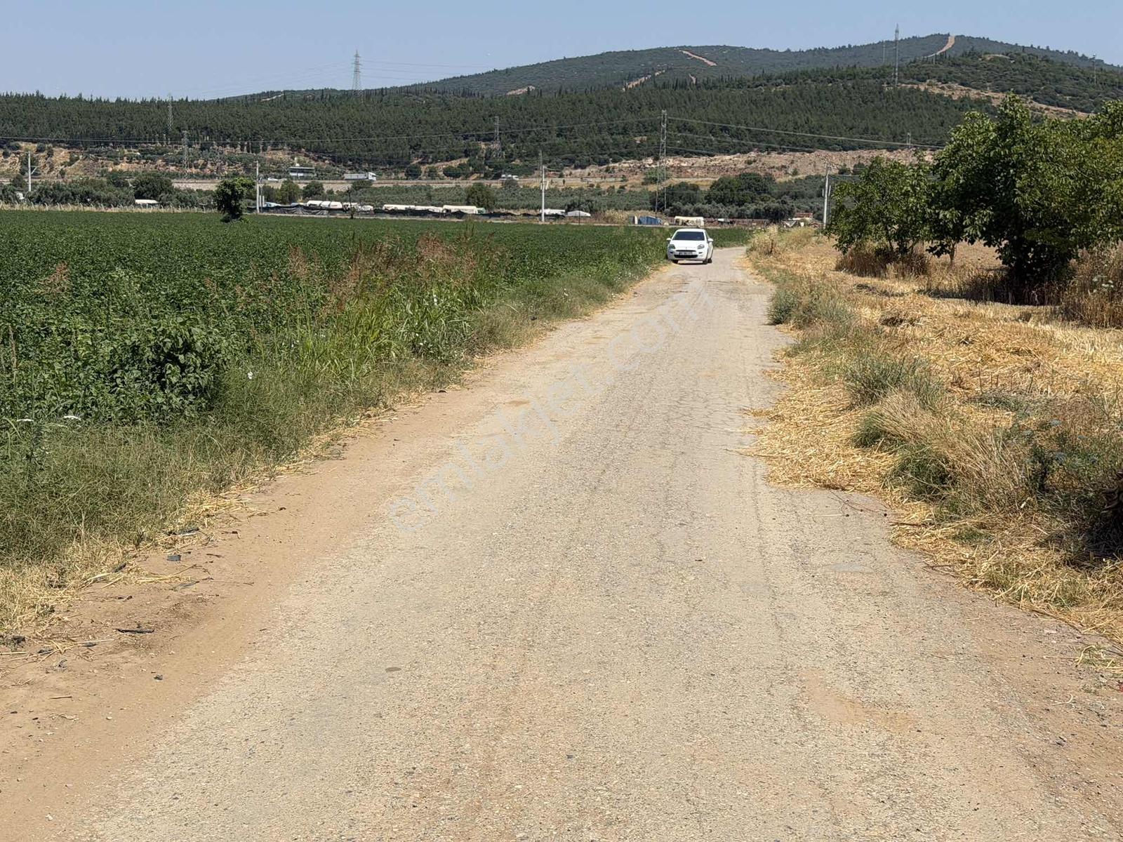 Emir Yapı Gayrimenkulden Aslanlar Tek Tapu Tarla - Görsel 5