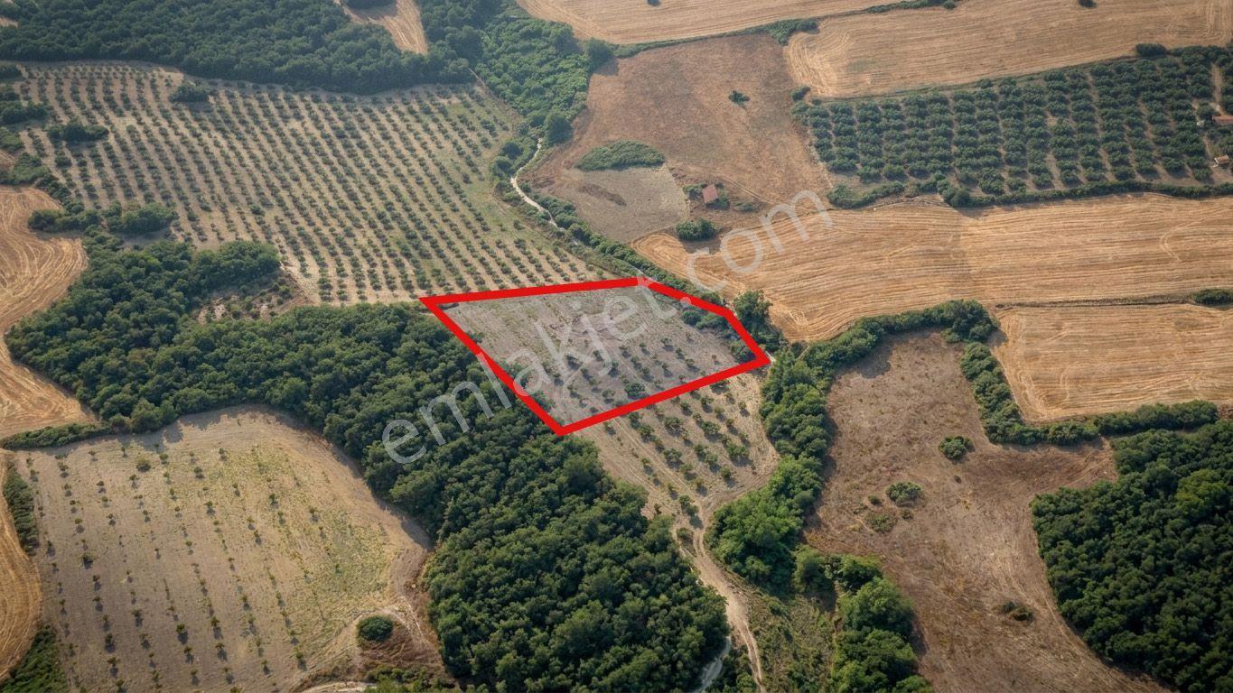 Re/max İnci'den Savaştepe Cumhuriyet Mah. Satılık Güneş Enerji Sistemli Tarla /ceviz Bahçesi - Görsel 25