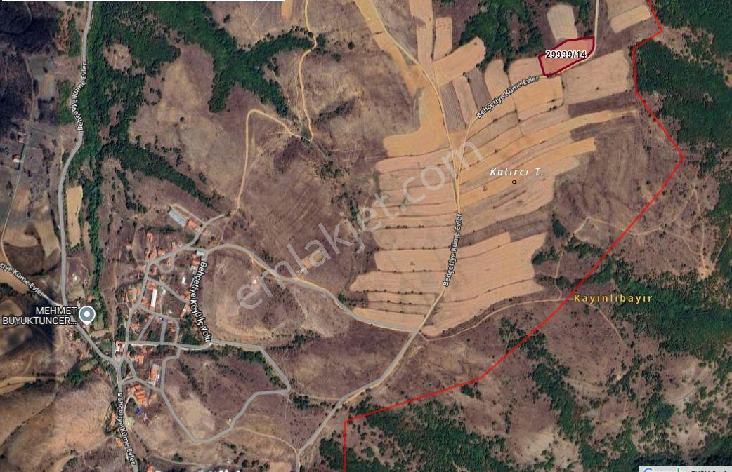Behçetiye Köyünde Asfalt Yoluna Sıfır Cepheli Arazi - Görsel 5