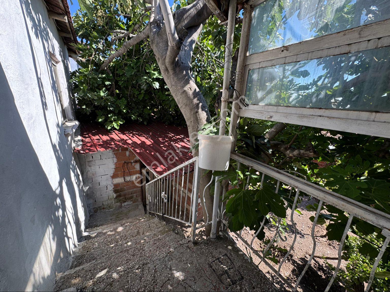 İzmir Bergama Kozluca Mah. 458 M² Masrafsız İçinde Hayvan Ağılı Bulunan Köy Evi - Görsel 14