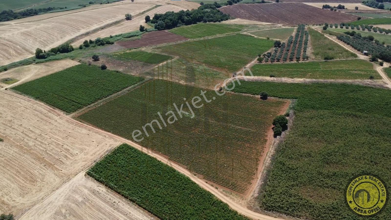 Lıon Emlaktan Yeni Ziraatlide Yola Cephe Fırsat Arazi - Görsel 35