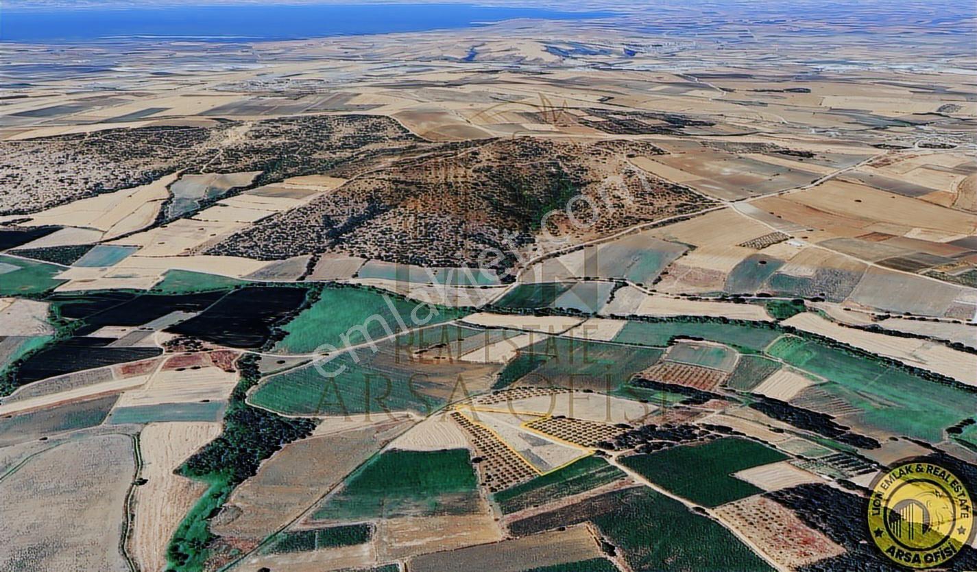 Lıon Emlaktan Yeni Ziraatlide Yola Cephe Fırsat Arazi - Görsel 4