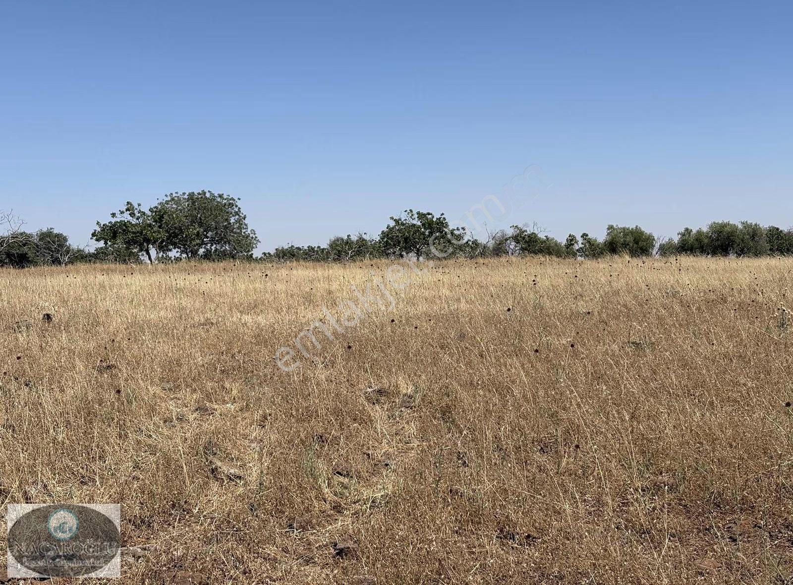 Ncrden Kilis Merkez Acar Tapulu 4.420m2 Kupon Arazi - Görsel 2