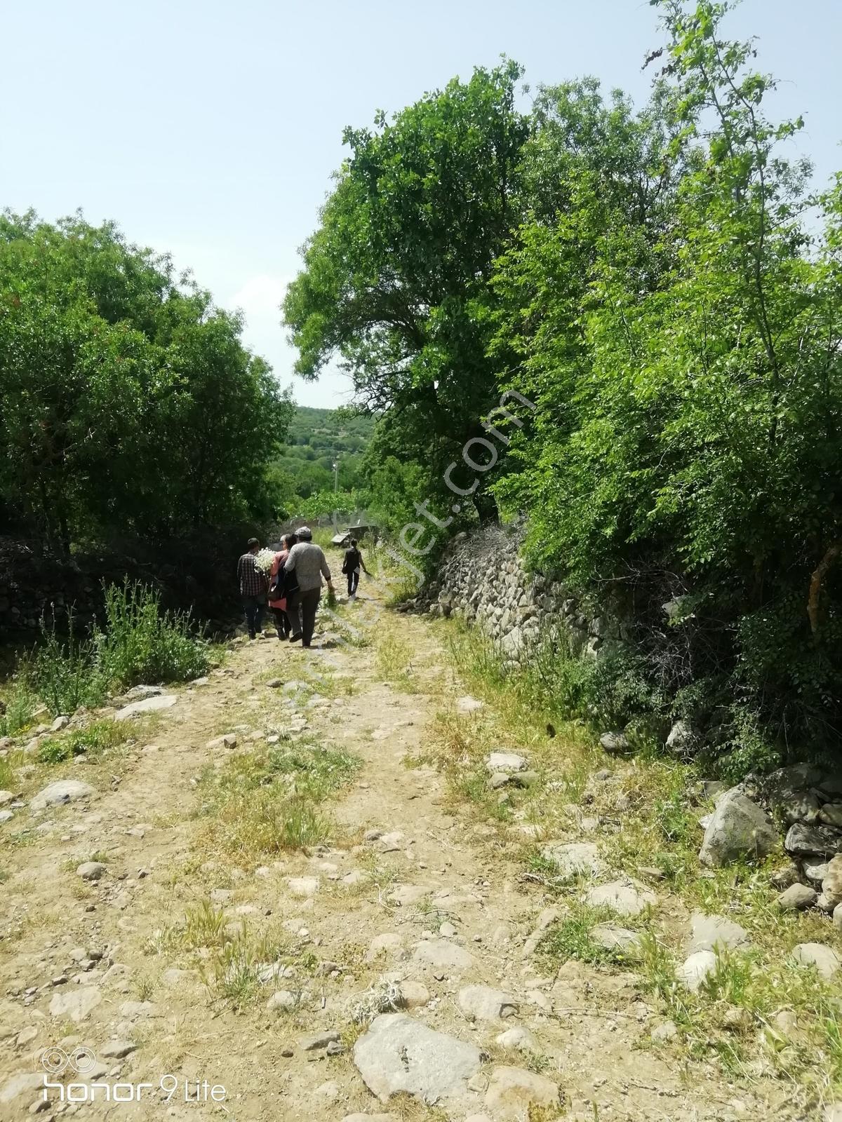 Bergama İsmaillide(denize 27km Uzaklıkta)köyiçi İmarlıarsa-456m