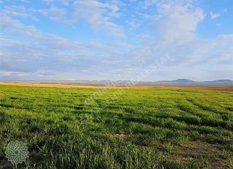264 Donum Satılık Tarla Ev + Su + Elektrik Eskişehir - Görsel 2