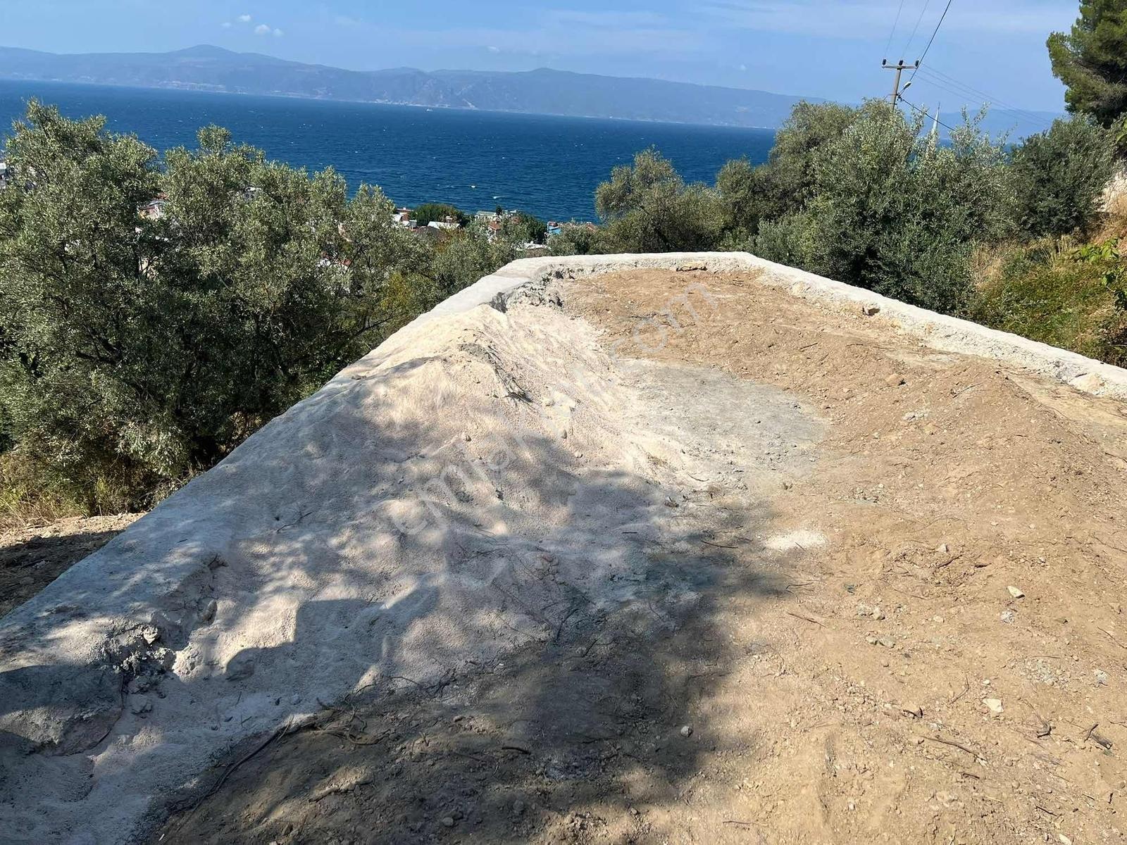 Emre Ünlü'den Altıntaş'ta Deniz Manzaralı, Yol Cepheli Zeytinlik - Görsel 8
