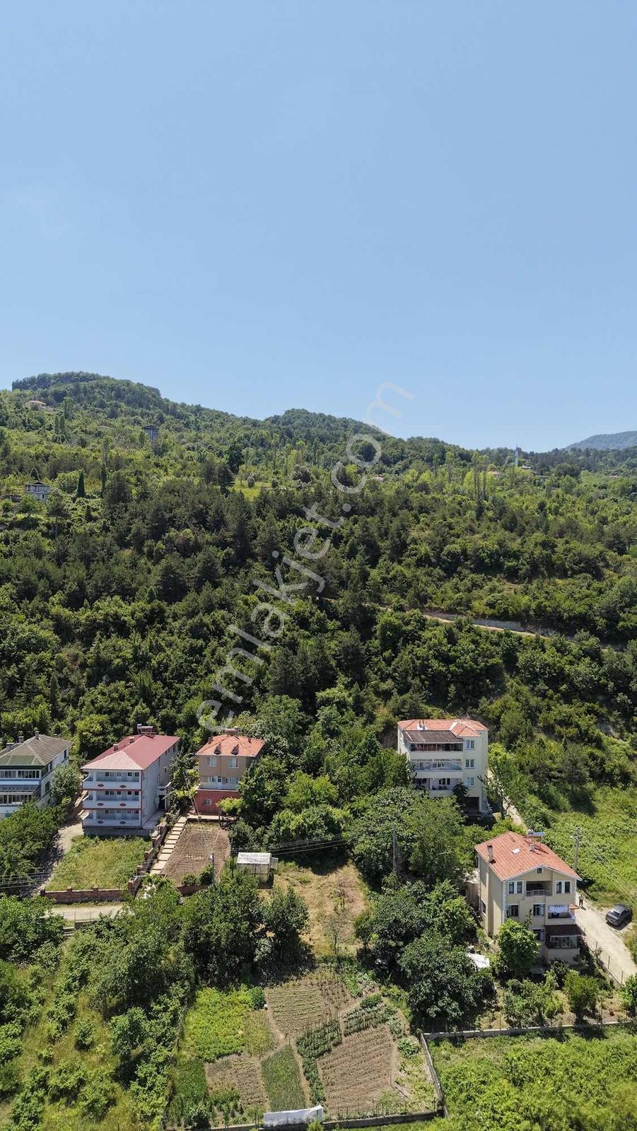 Türkan Emlaktan Cide Gebeşte Deniz Manzaralı 1320 M² Arsa - Görsel 6