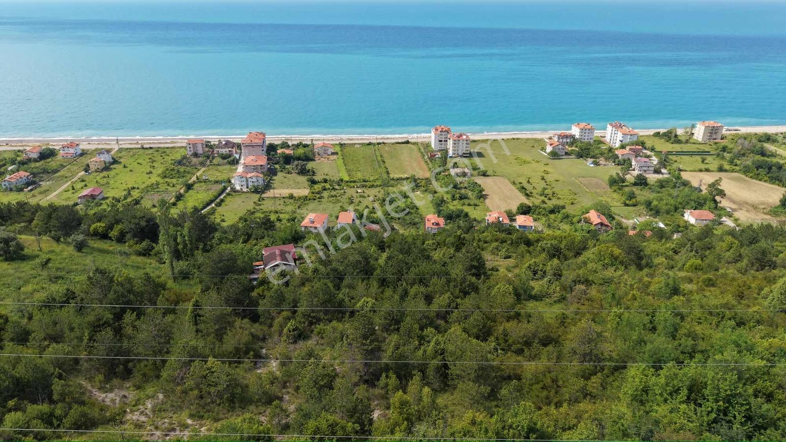 Türkan Emlaktan Cide Gebeşte Deniz Manzaralı 1320 M² Arsa - Görsel 2