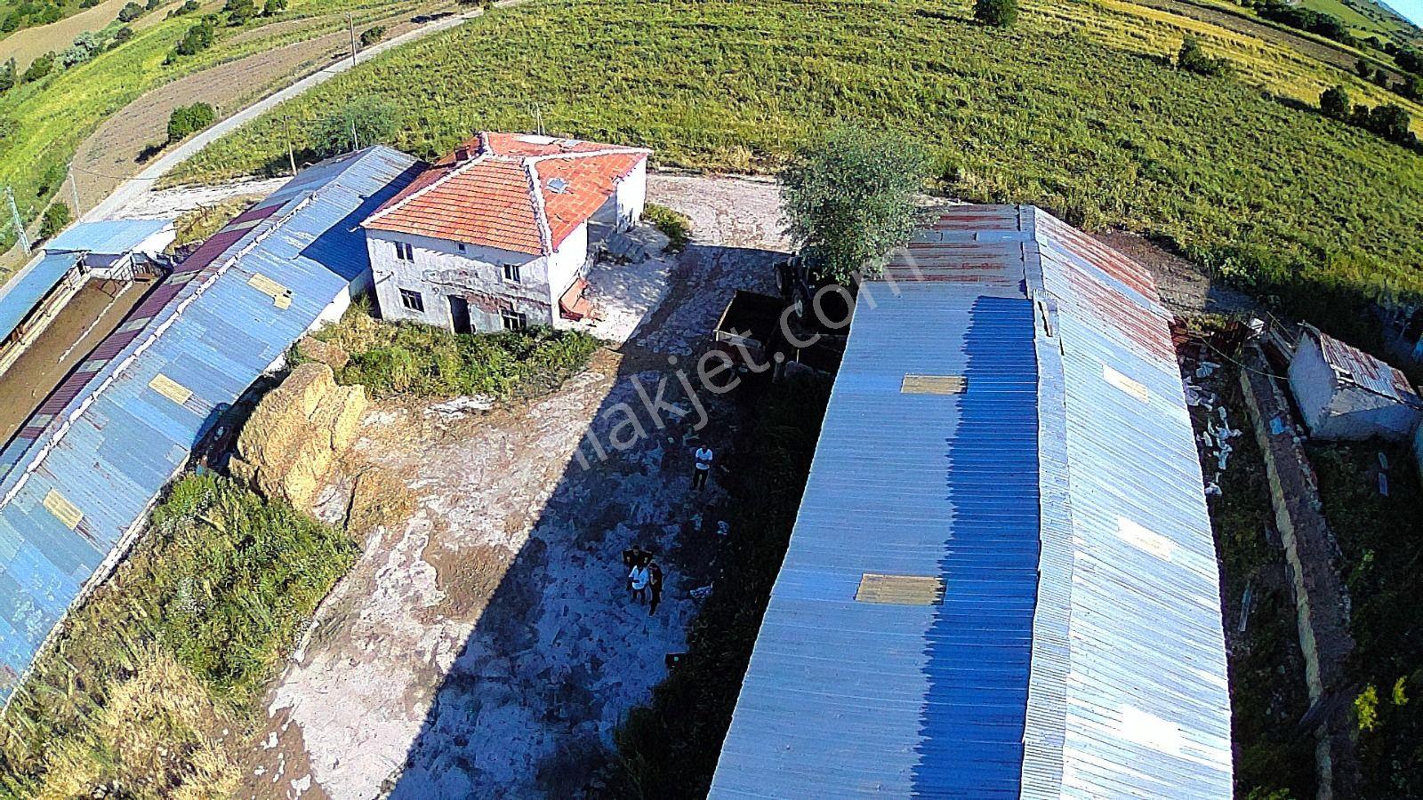 Ankara Çubuk Yuksek Eksper Degerlı 980kapasıtelı Koyiçi Çiftlik - Görsel 15