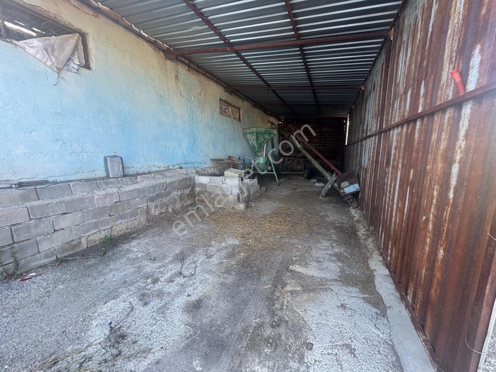 Ankara Çubuk Yuksek Eksper Degerlı 980kapasıtelı Koyiçi Çiftlik - Görsel 35