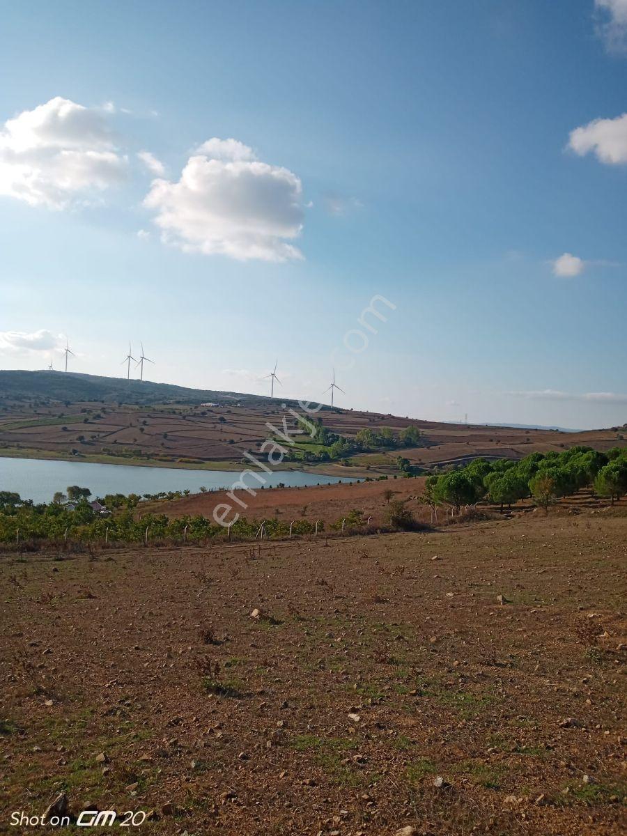 Er Yapı'dan Satılık Karesi Şamlı'da 9950 M2 Tarla - Görsel 7