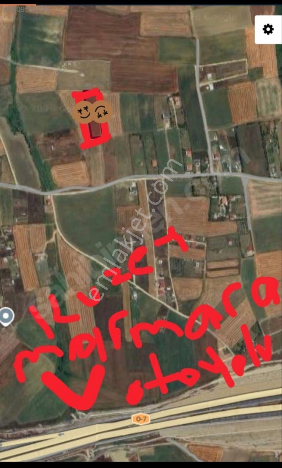 Çatalca Elbasan Satılık Tarla-tek Tapu 1/5000'lik Planda - Görsel 3