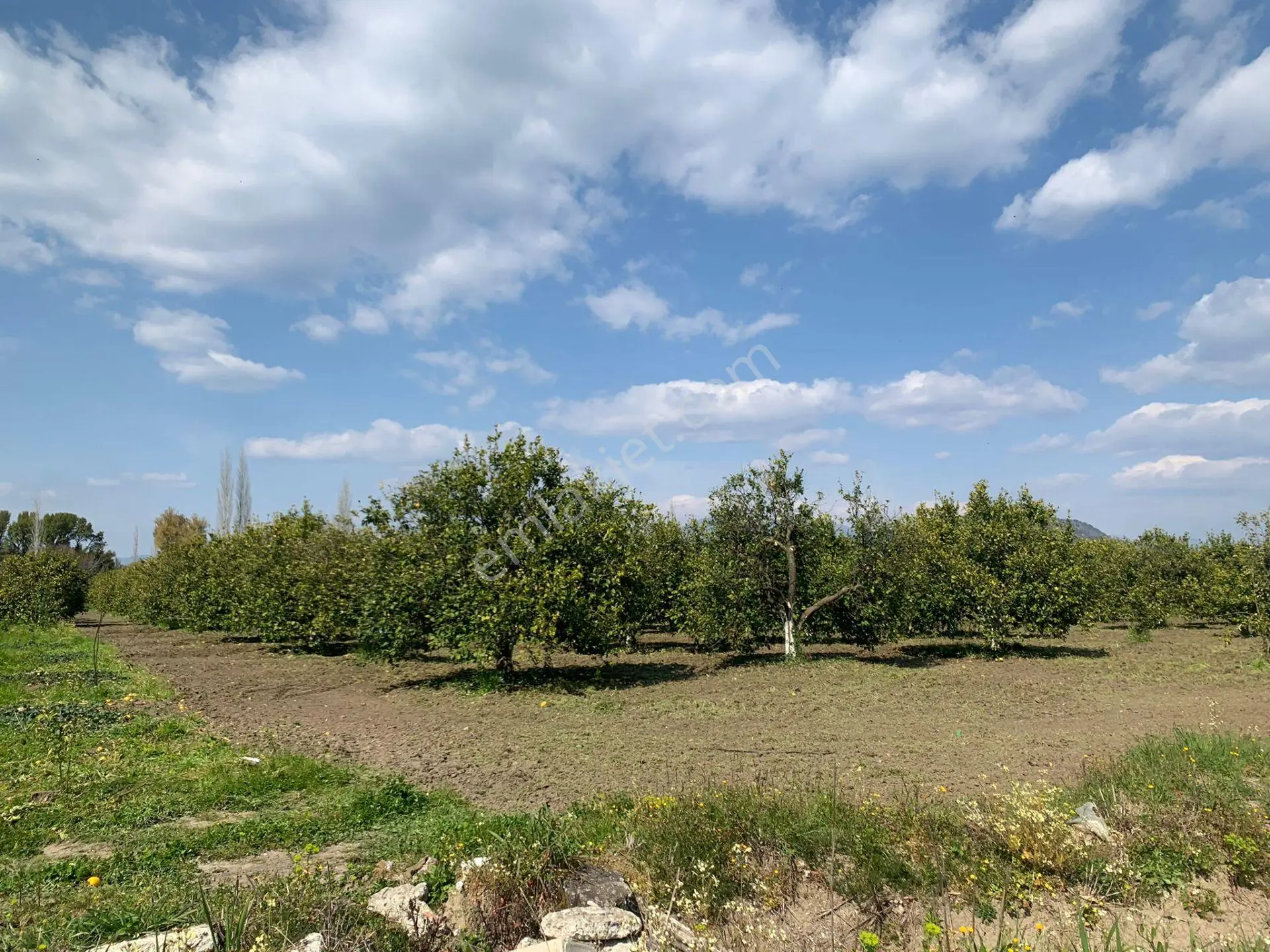 Ortaca Okçular Marmarlı Da 1 500 M2 Yatırıma Uygun Müstakil Arsa Satılık