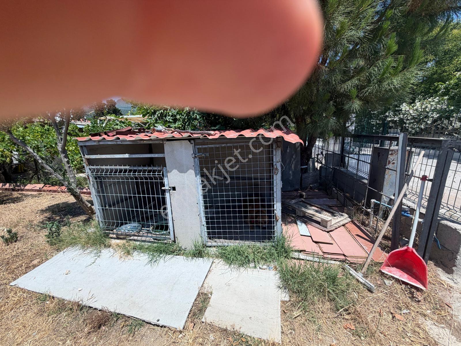 Gümüldür Denize 2 Dk Yürüme Mesafesi Konut + Ticari İmarlı Arsa Ve İçinde Ev - Görsel 19