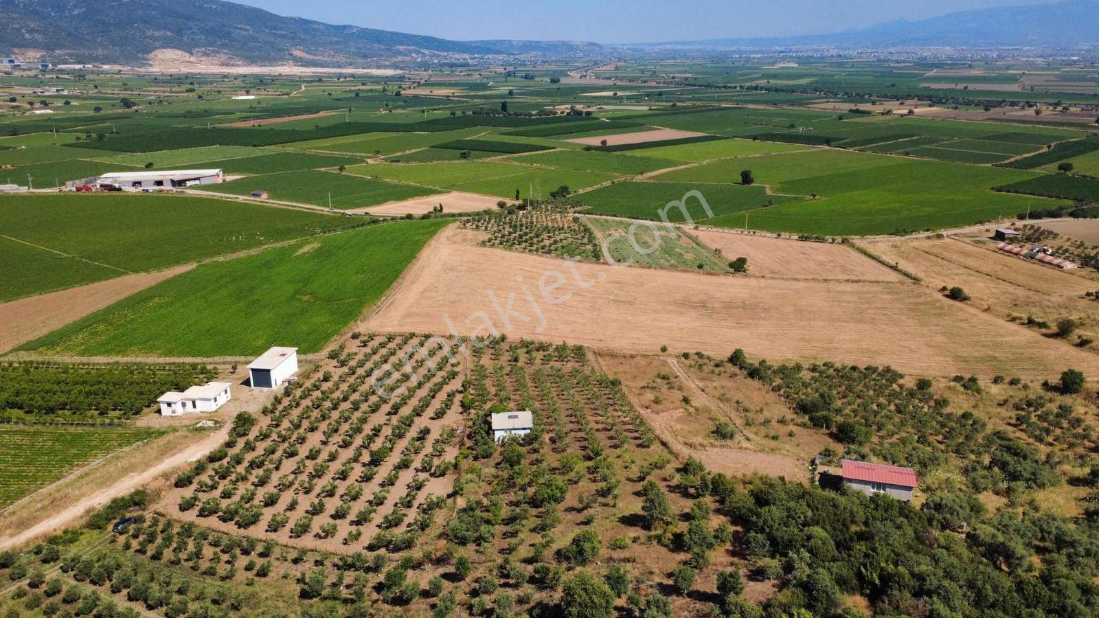 Torbalı Ahmetli Köyünde Satılık 6000 M2 Tarla - Görsel 16