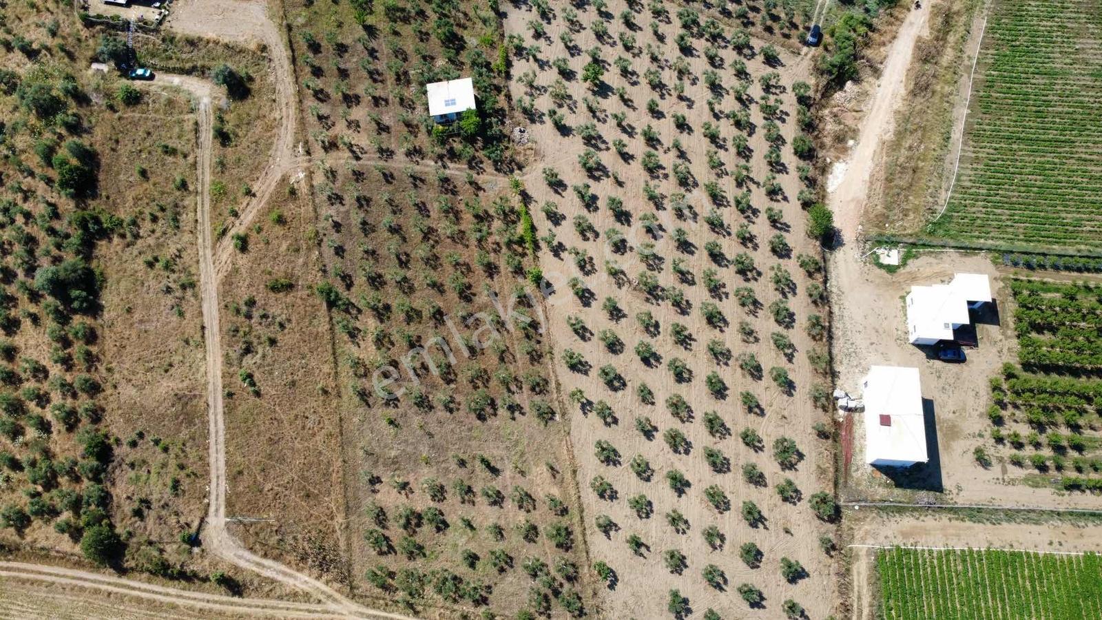 Torbalı Ahmetli Köyünde Satılık 6000 M2 Tarla - Görsel 7