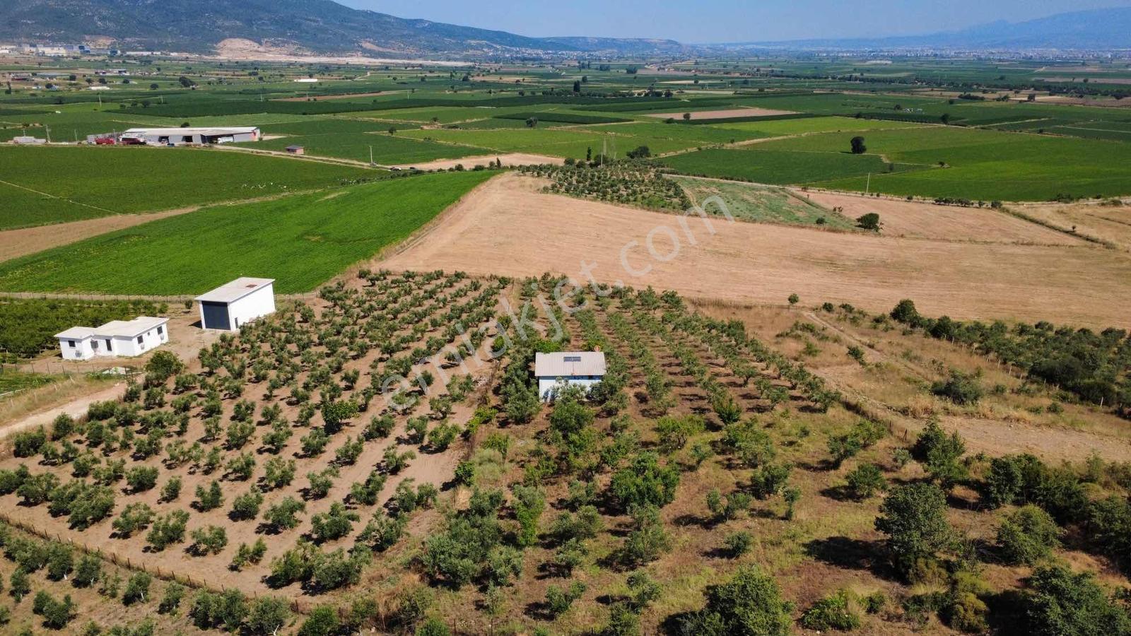 Torbalı Ahmetli Köyünde Satılık 6000 M2 Tarla - Görsel 10