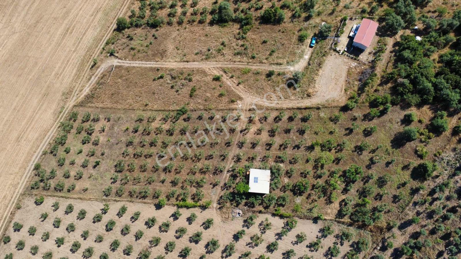 Torbalı Ahmetli Köyünde Satılık 6000 M2 Tarla - Görsel 4