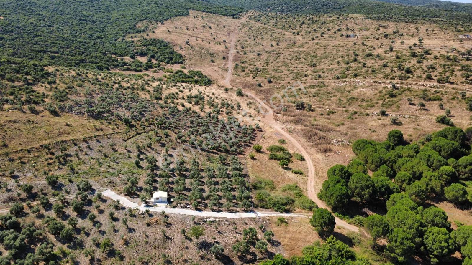 Torbalı Ahmetli Köyünde Satılık 6000 M2 Tarla - Görsel 12