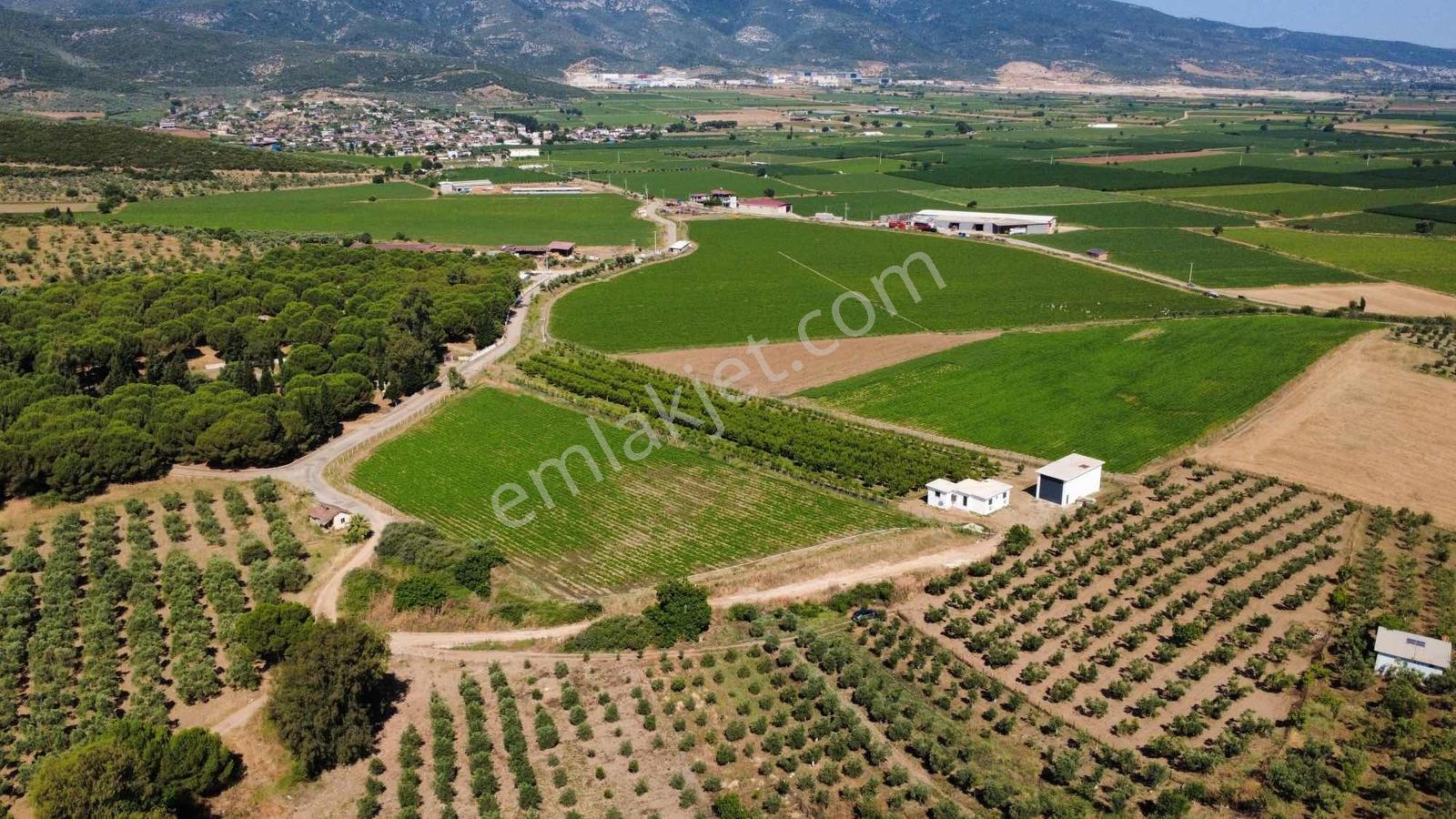 Torbalı Ahmetli Köyünde Satılık 6000 M2 Tarla - Görsel 14