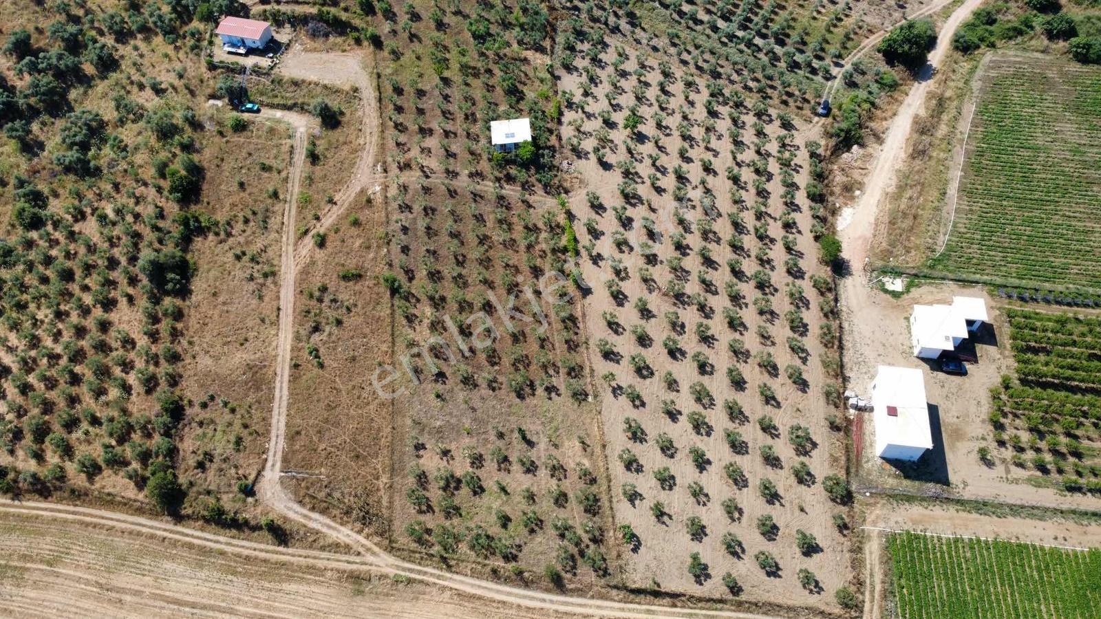 Torbalı Ahmetli Köyünde Satılık 6000 M2 Tarla - Görsel 9