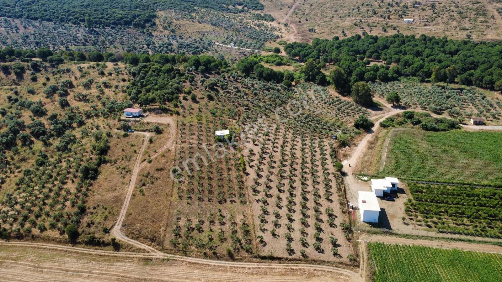 Torbalı Ahmetli Köyünde Satılık 6000 M2 Tarla - Görsel 5