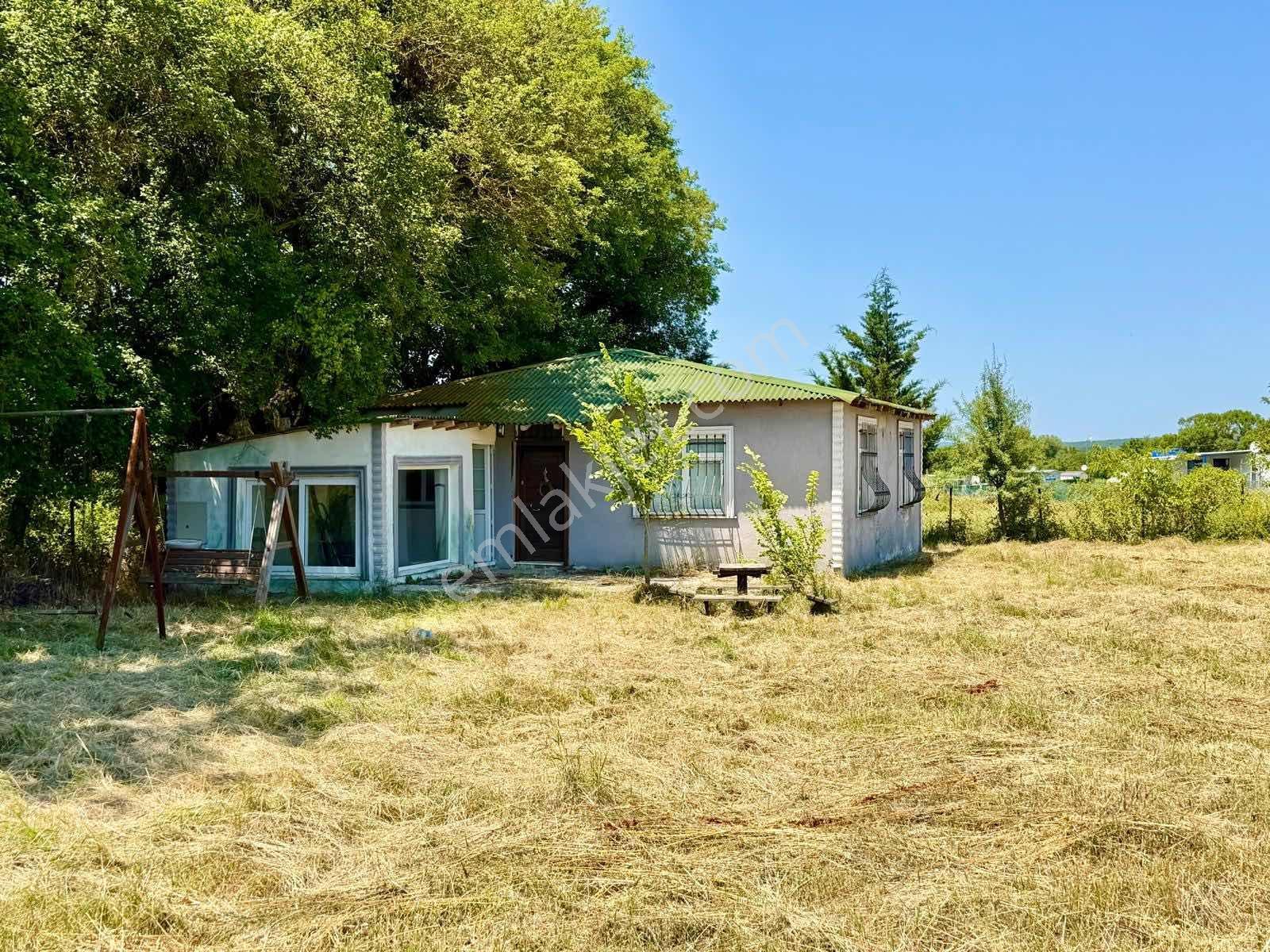 1250 M2 Tek Tapu Tarla İçinde Yola Cephe 2+1 Müstakil Ev - Görsel 6