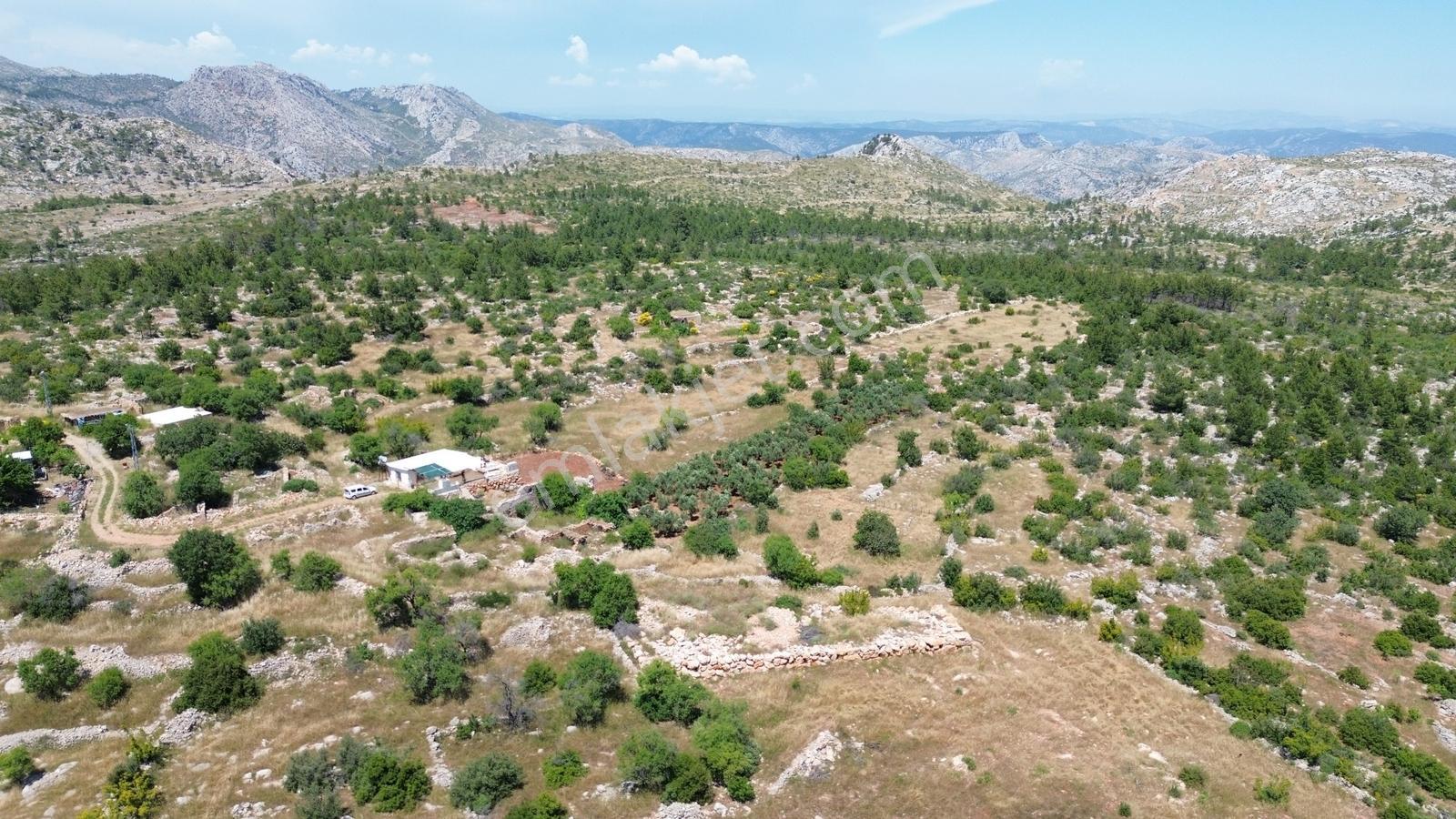 Karakuş Emlaktan Yaylalık Deniz Manzaralı 3213 M² Satılık Arsa - Görsel 12