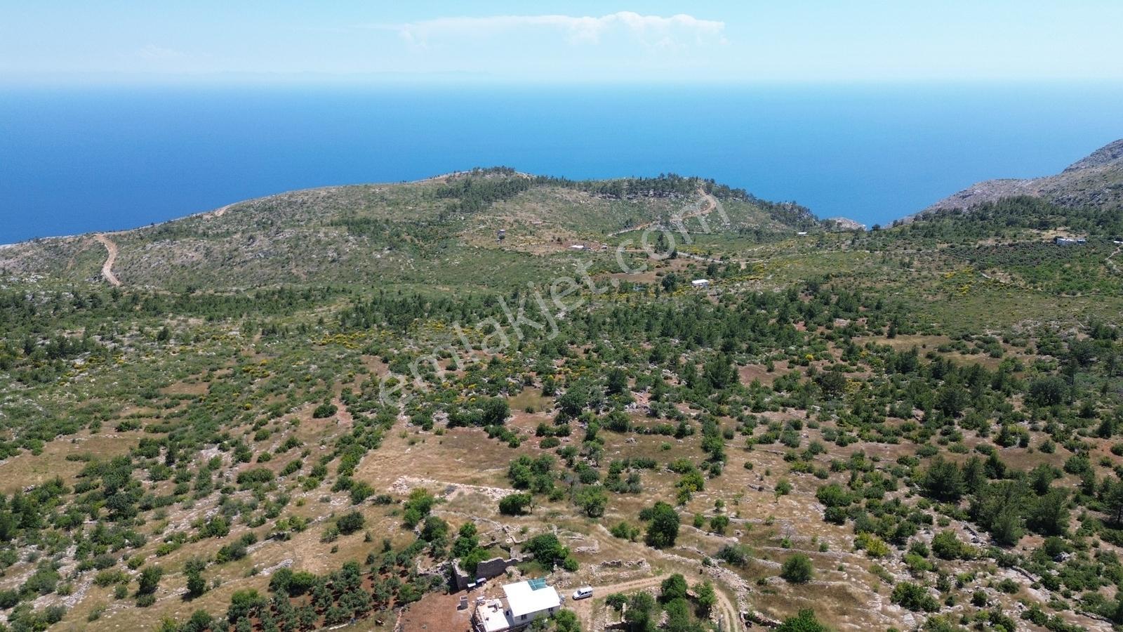 Karakuş Emlaktan Yaylalık Deniz Manzaralı 3213 M² Satılık Arsa - Görsel 2