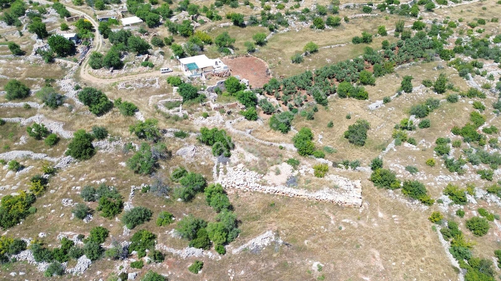 Karakuş Emlaktan Yaylalık Deniz Manzaralı 3213 M² Satılık Arsa - Görsel 11